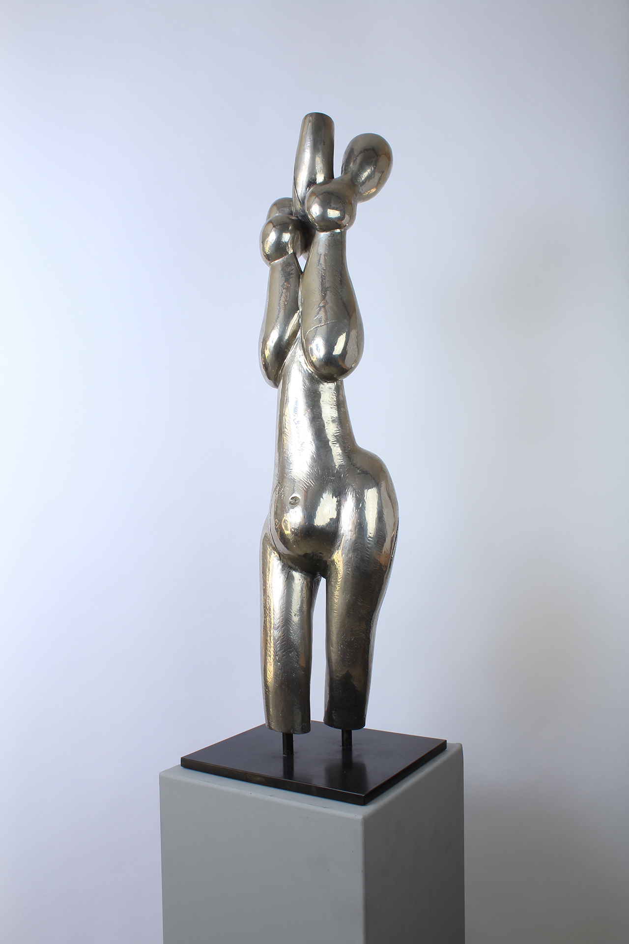 BEAUTÉ CHANCELANTE - Image précedente