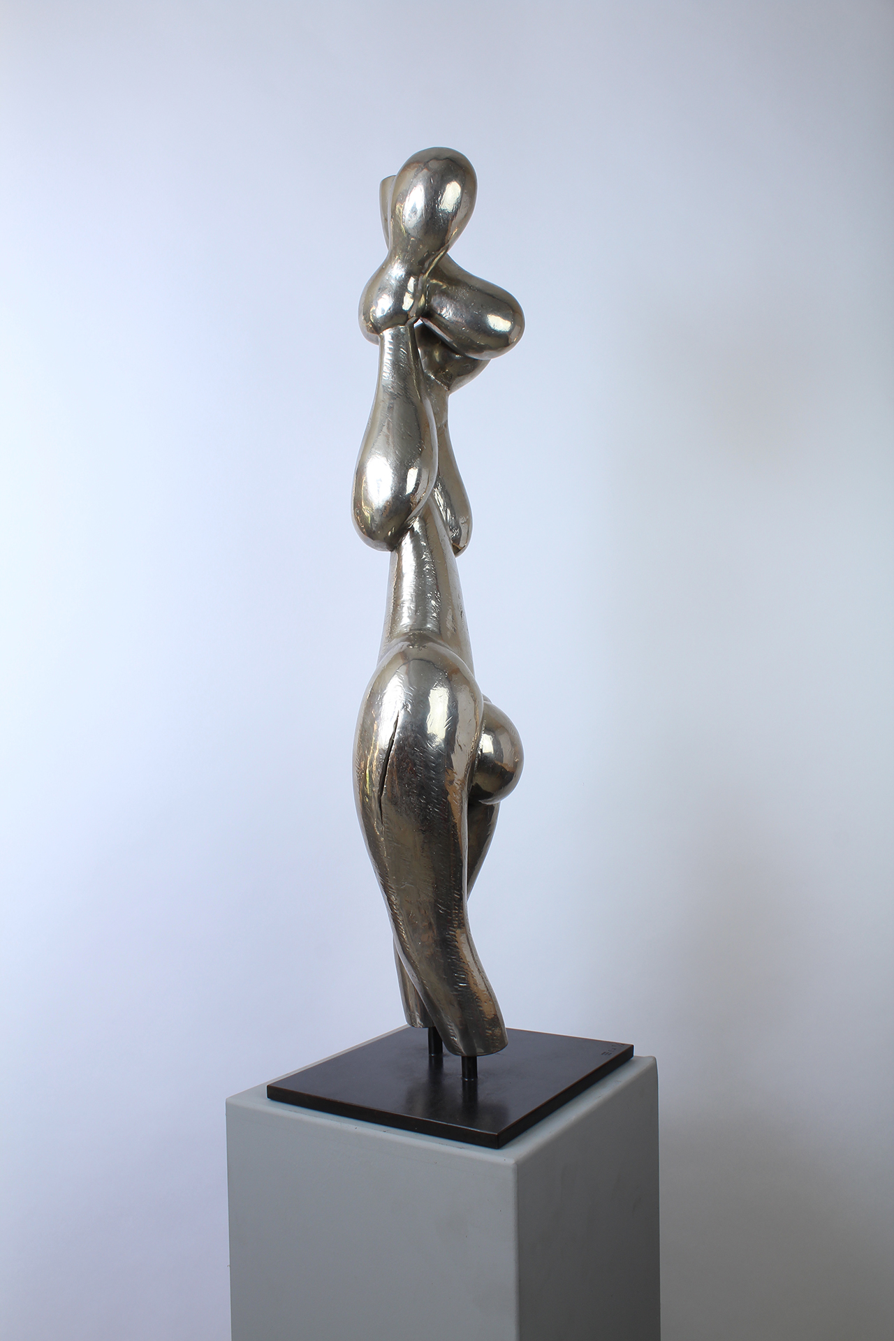 BEAUTÉ CHANCELANTE - Image suivante