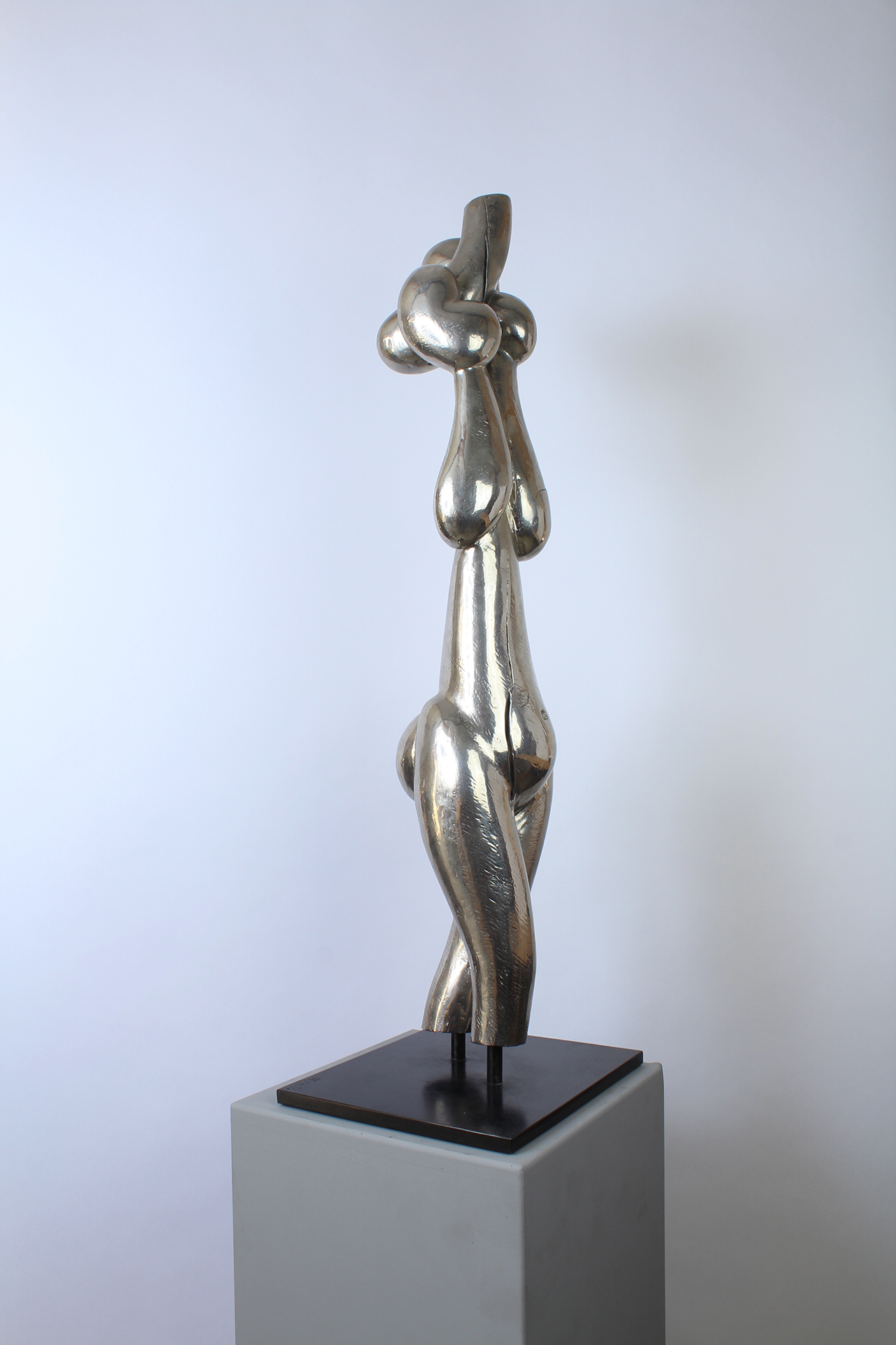 BEAUTÉ CHANCELANTE - Image précedente