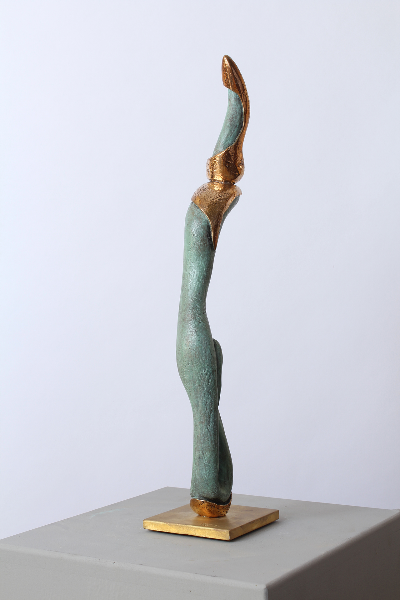 LITTLE TOTEM - Image suivante