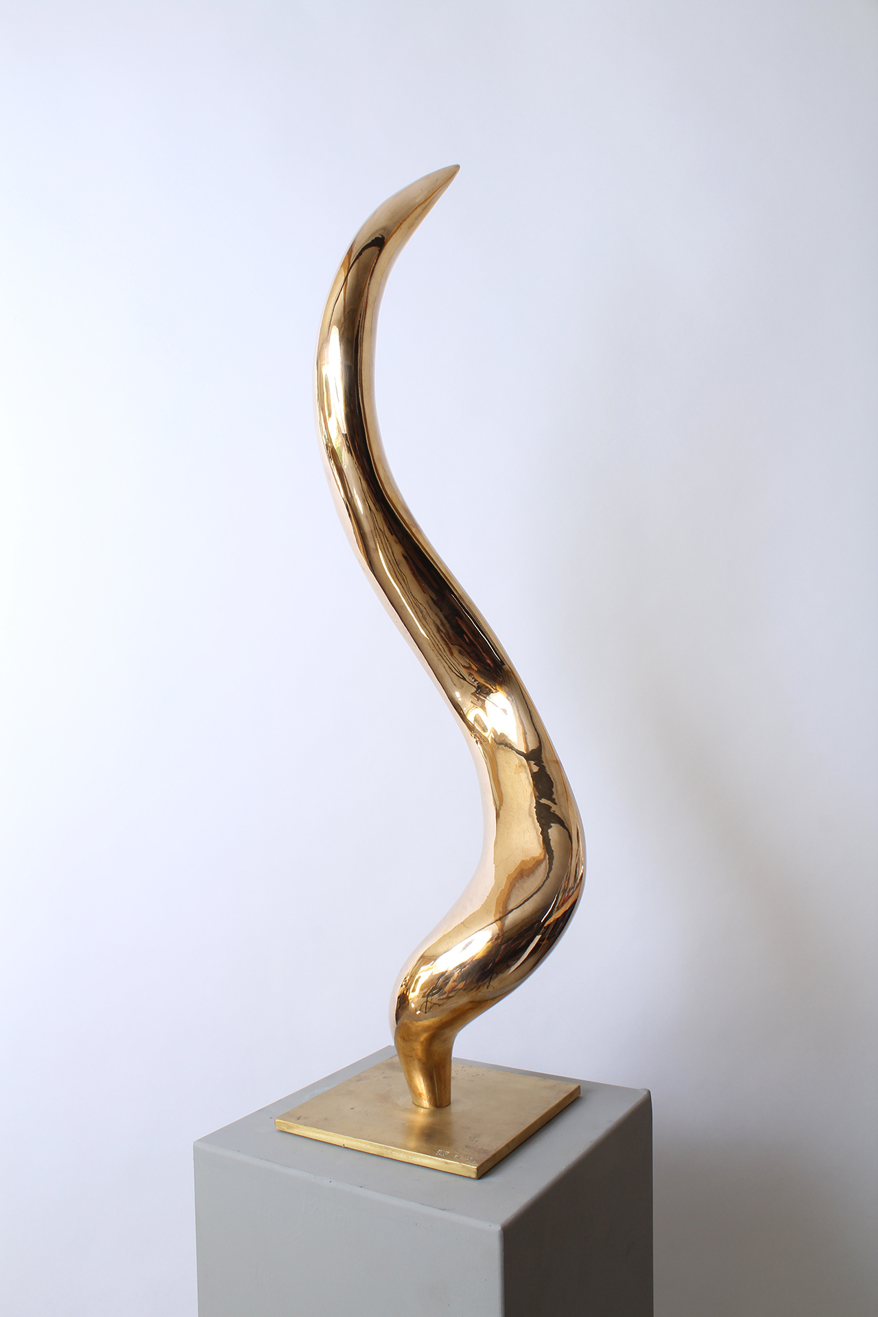 MAGIC BRIGHT DREAM - Image précedente