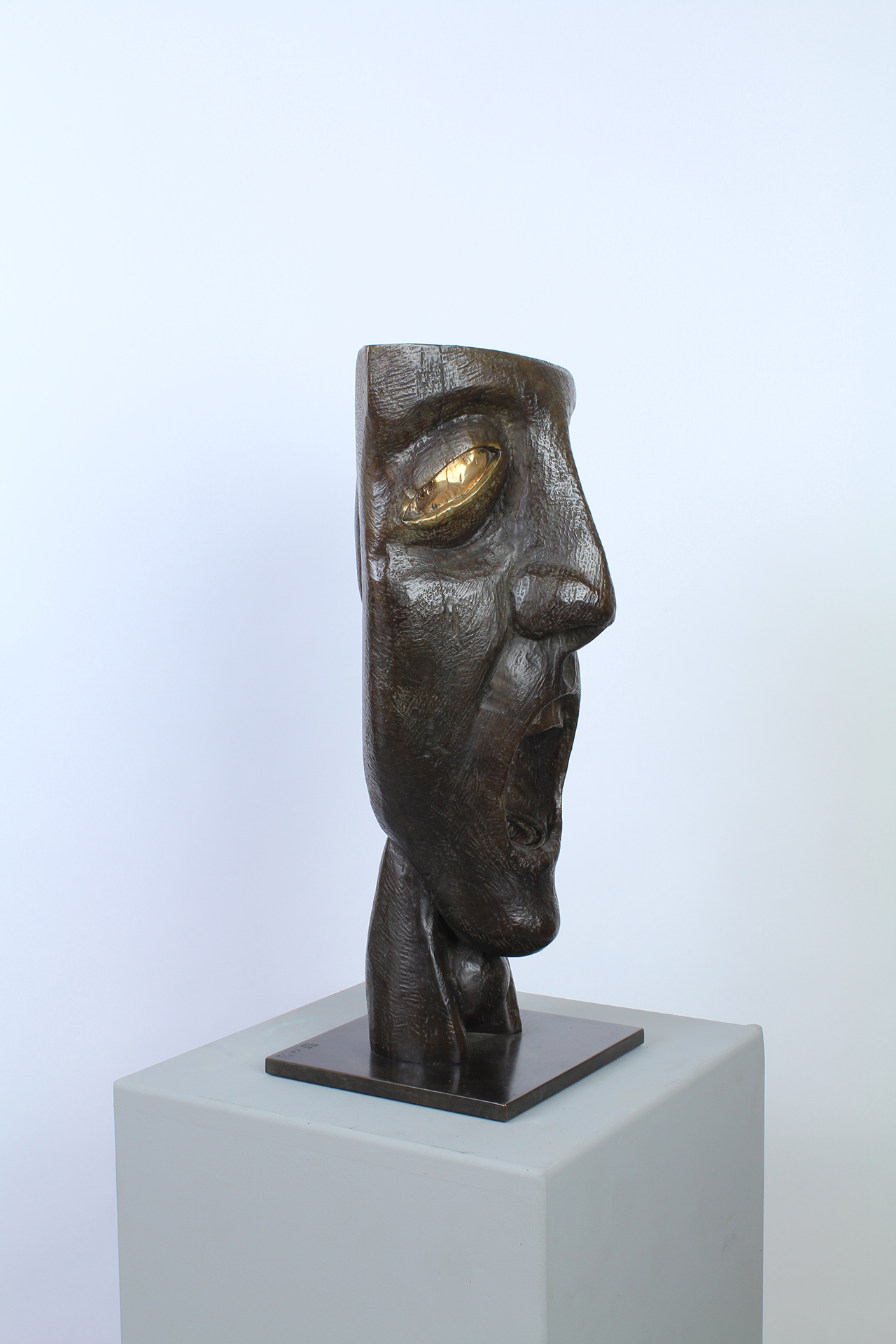 TROUBLE - Image suivante