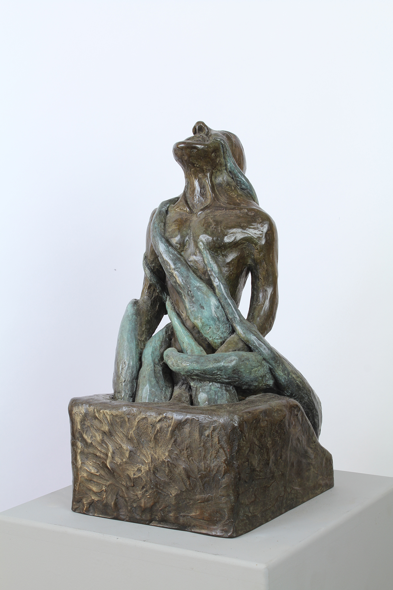 NATURE REVENGE - Image précedente