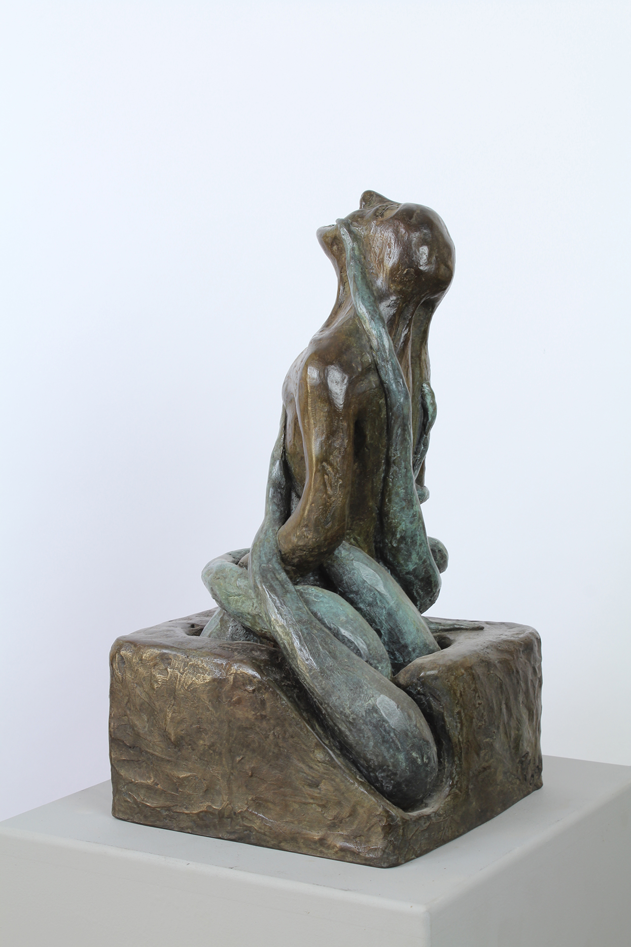 NATURE REVENGE - Image suivante