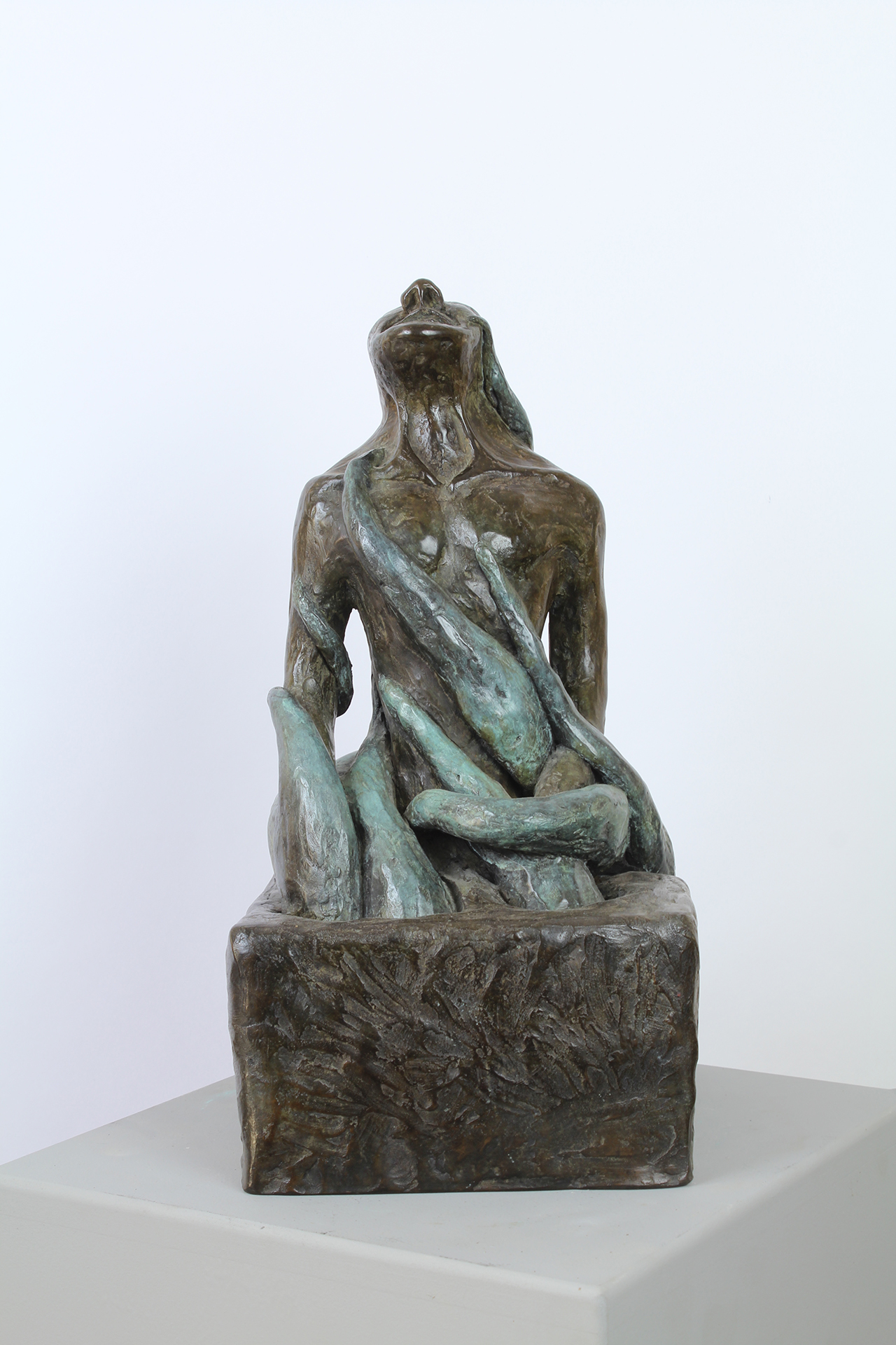 NATURE REVENGE - Image précedente