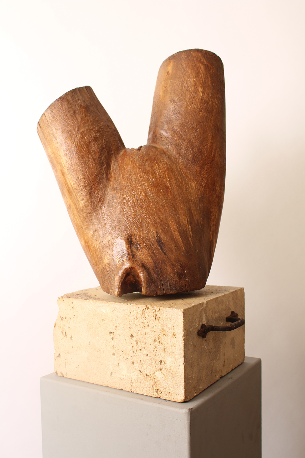 TOURNE LE MONDE - Image précedente