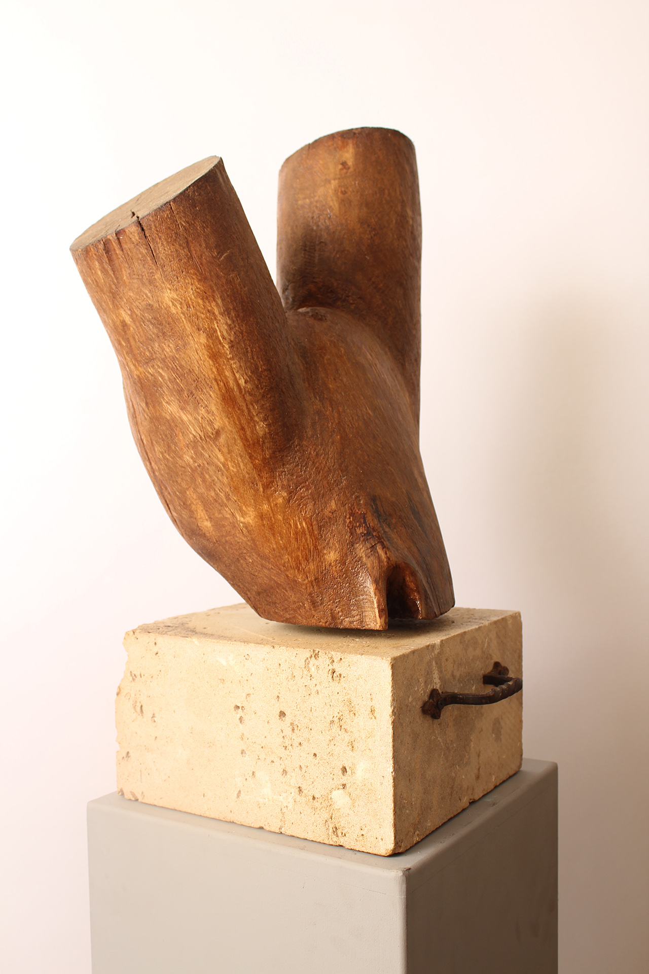 TOURNE LE MONDE - Image suivante