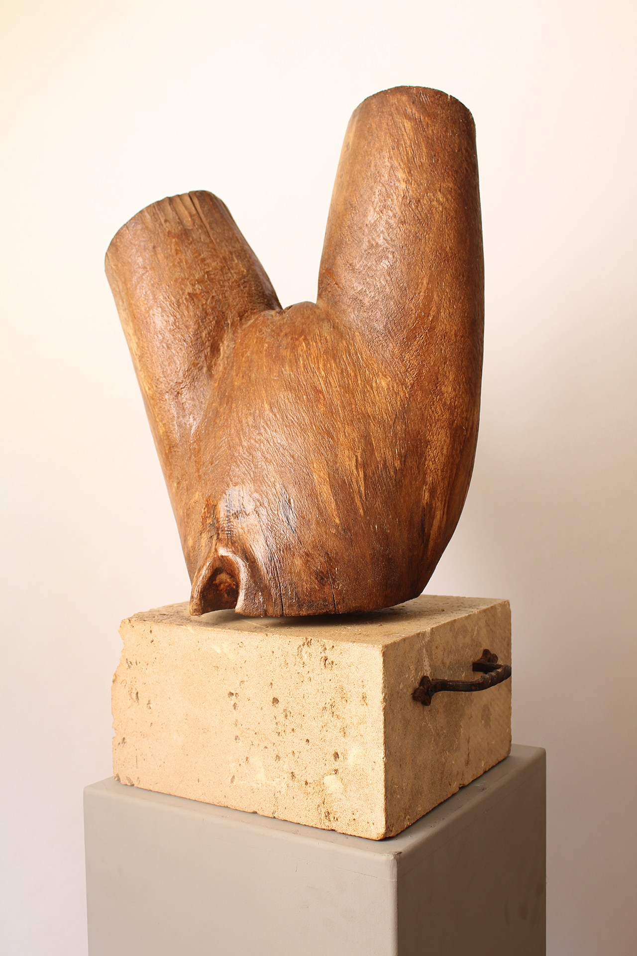 TOURNE LE MONDE - Image précedente