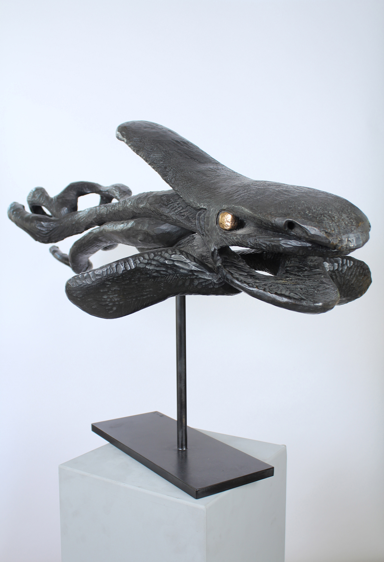 MARÉE NOIRE - Image précedente