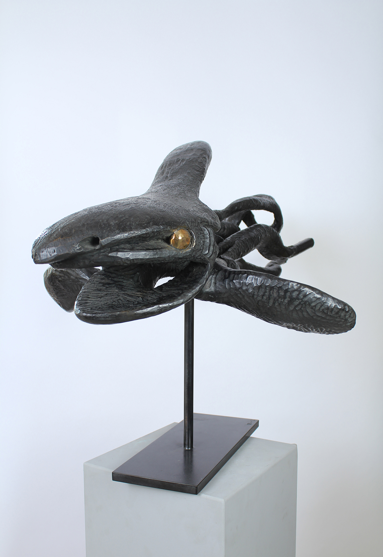 MARÉE NOIRE - Image précedente