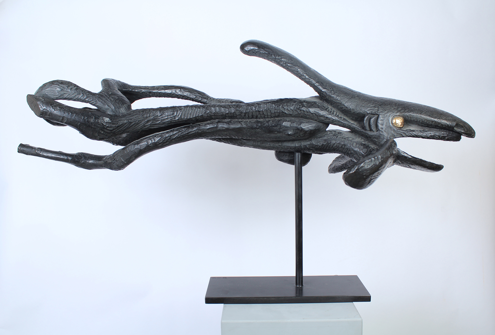 MARÉE NOIRE - Image suivante