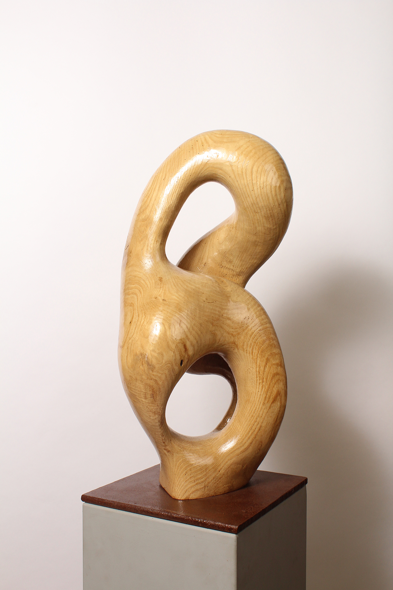 BRAIN KNOT 2 - Image précedente