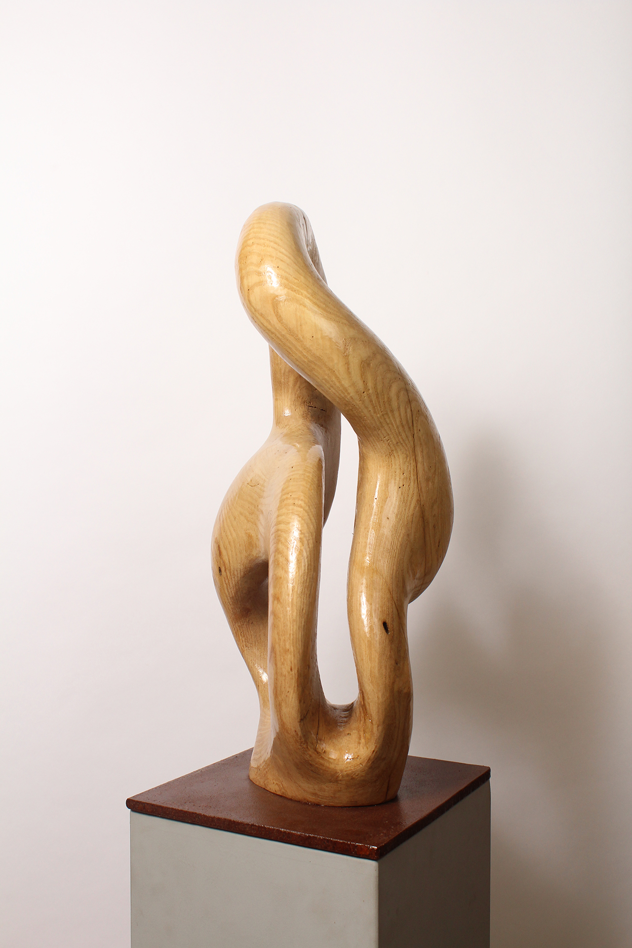 BRAIN KNOT 2 - Image suivante