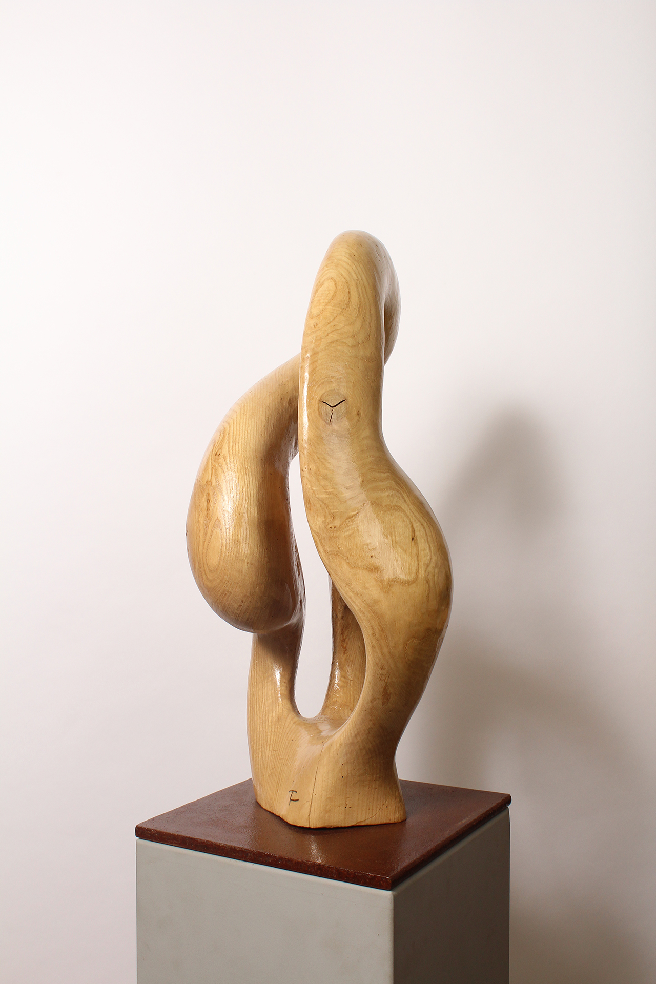 BRAIN KNOT 2 - Image précedente