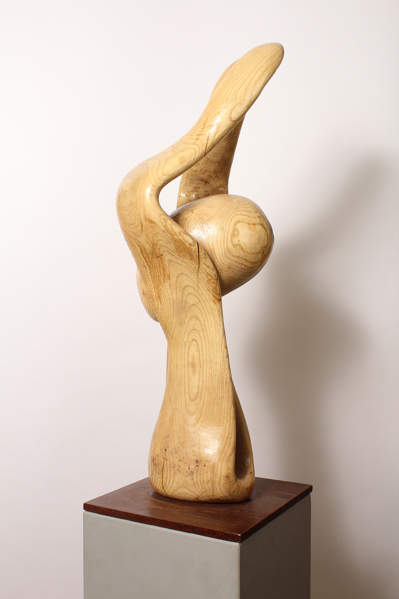 BRAIN KNOT 1 - Image précedente