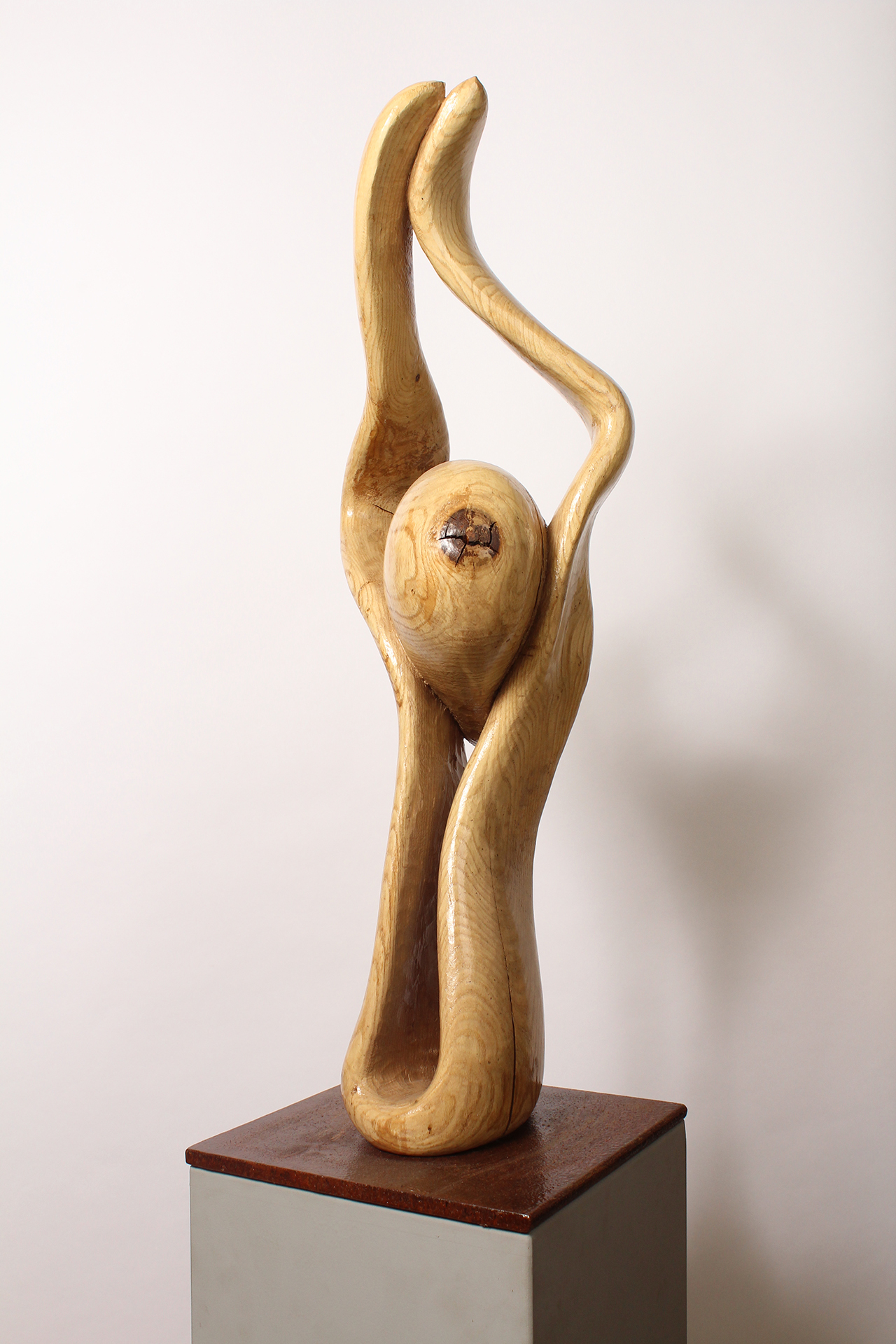 BRAIN KNOT 1 - Image suivante