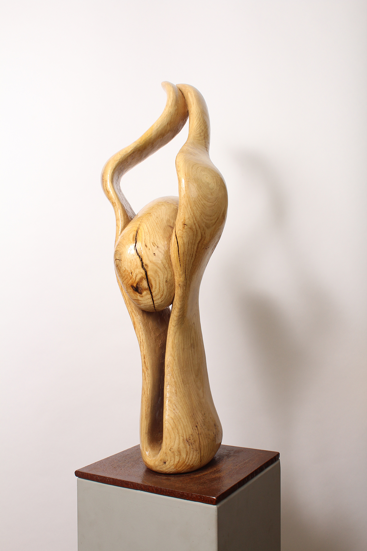 BRAIN KNOT 1 - Image précedente