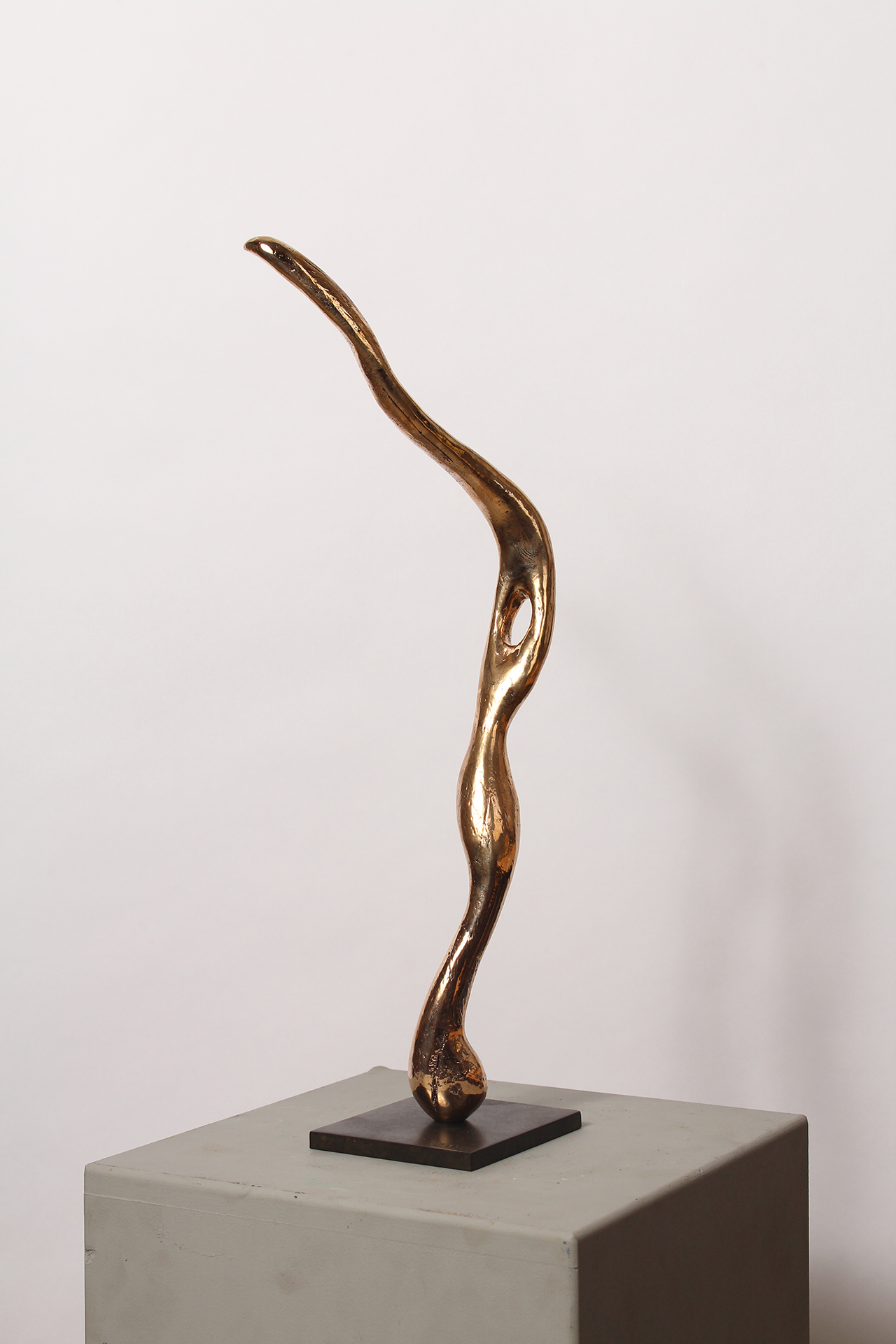 FEU FOLLET - Image précedente