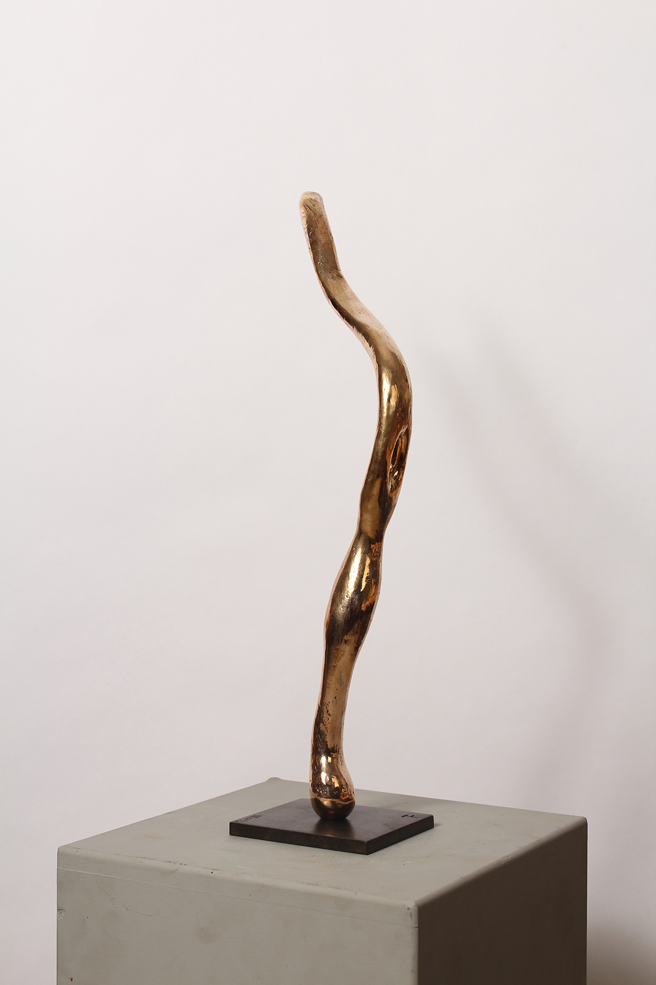 FEU FOLLET - Image suivante