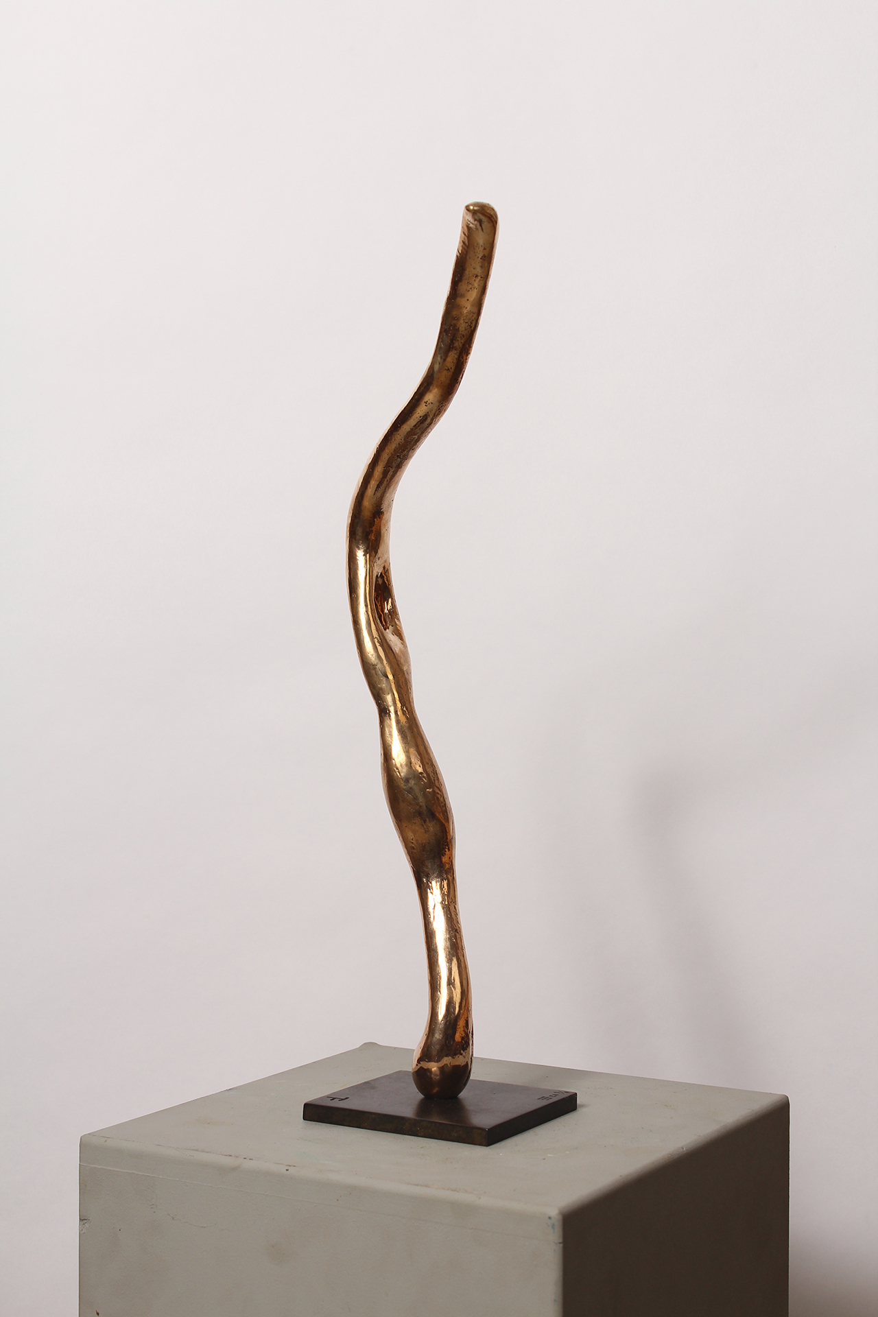 FEU FOLLET - Image précedente