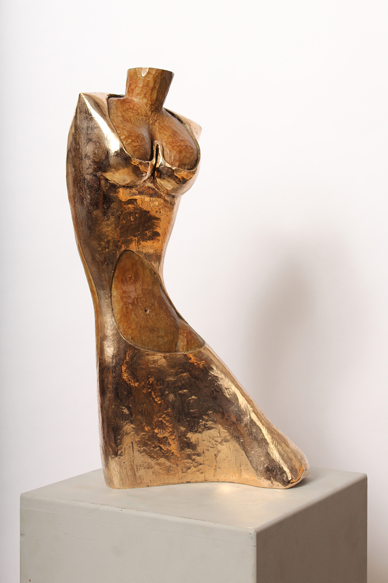 ENVY - Image précedente