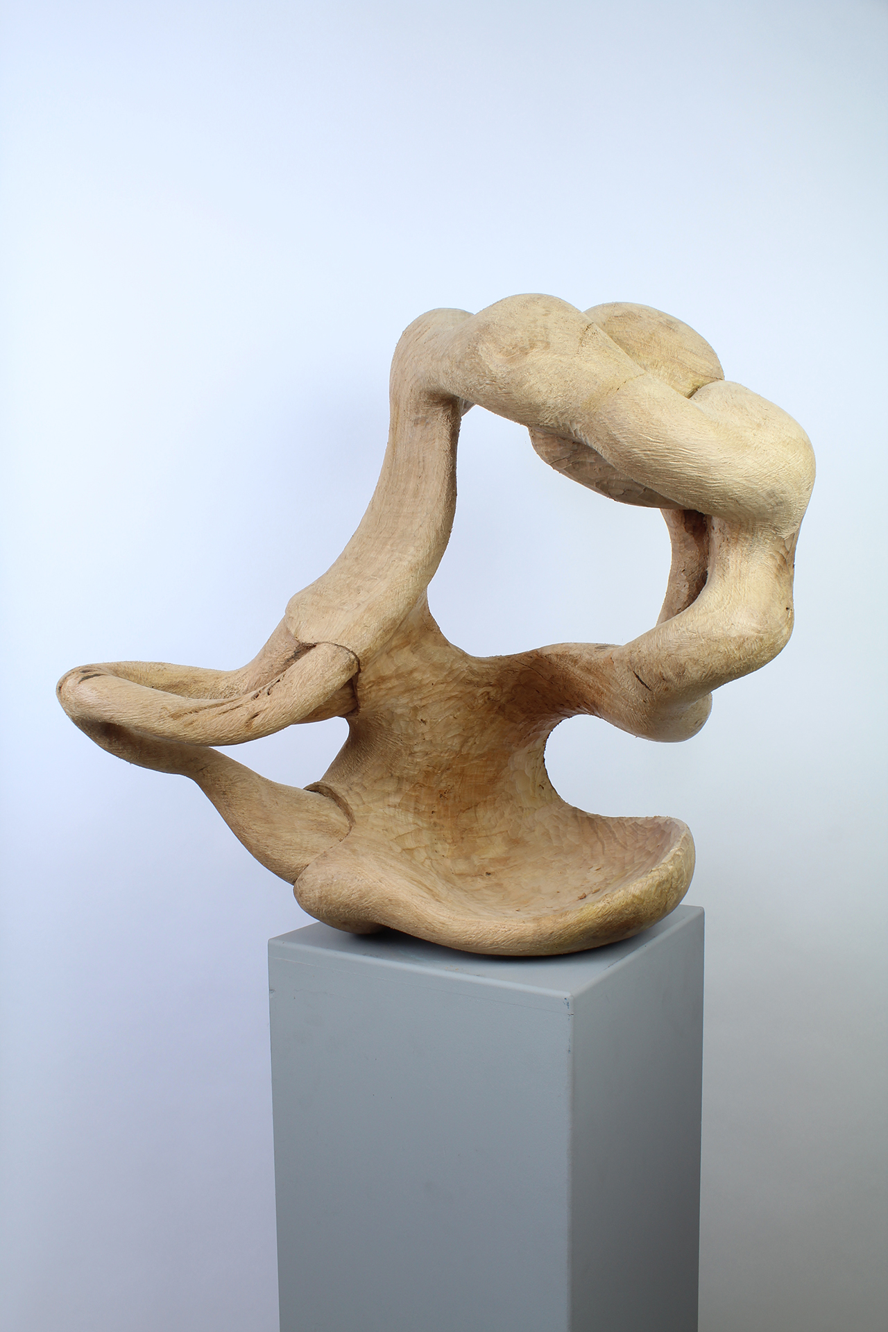 ANYWAY - Image précedente