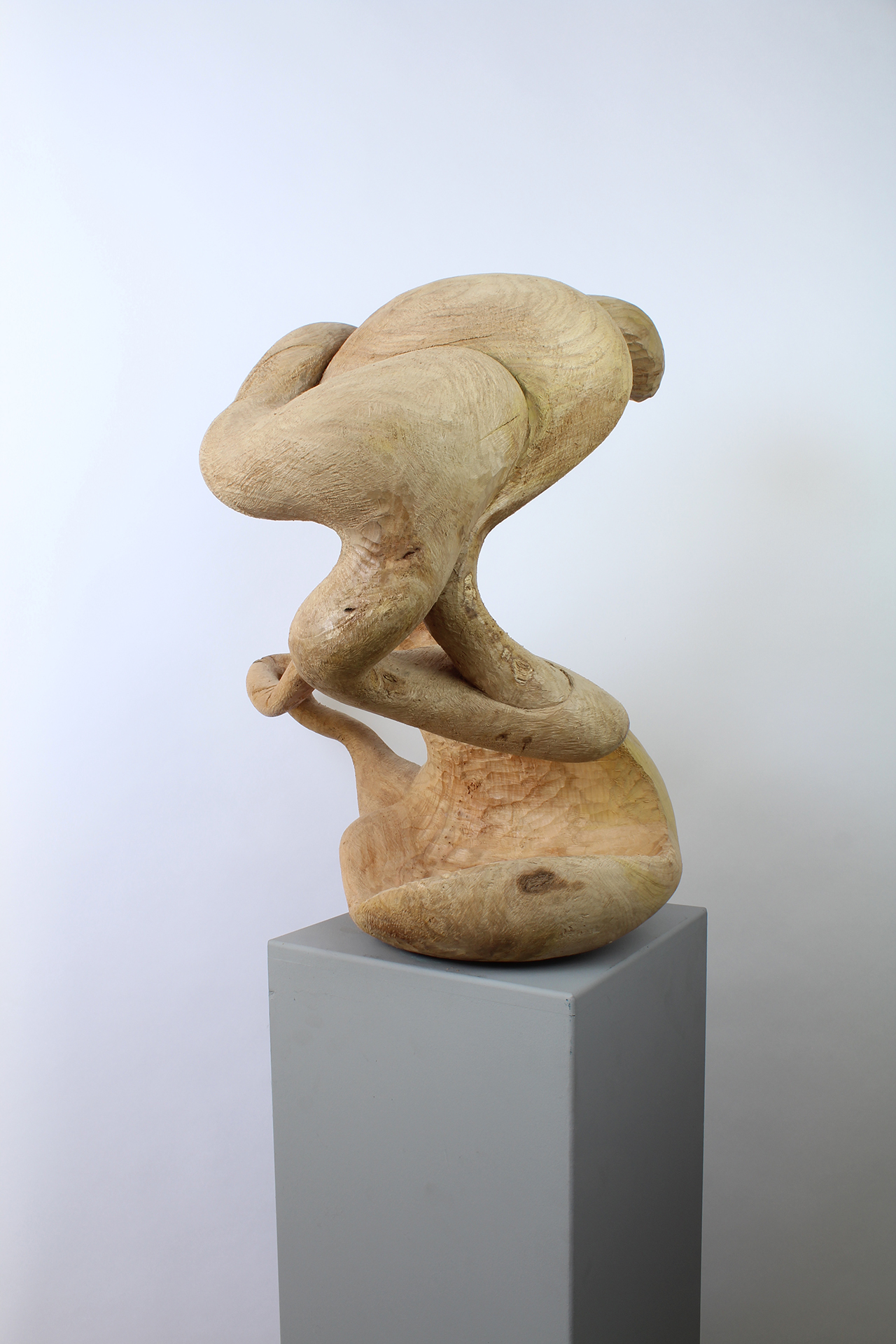 ANYWAY - Image suivante