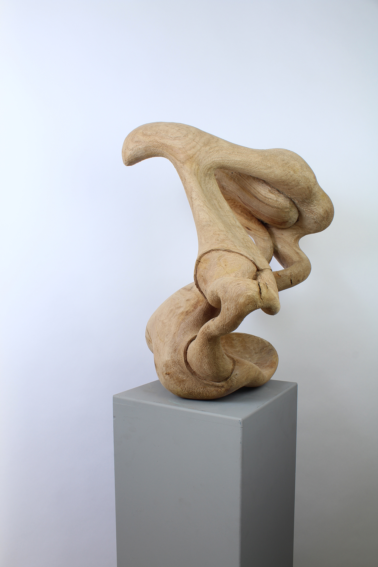 ANYWAY - Image précedente