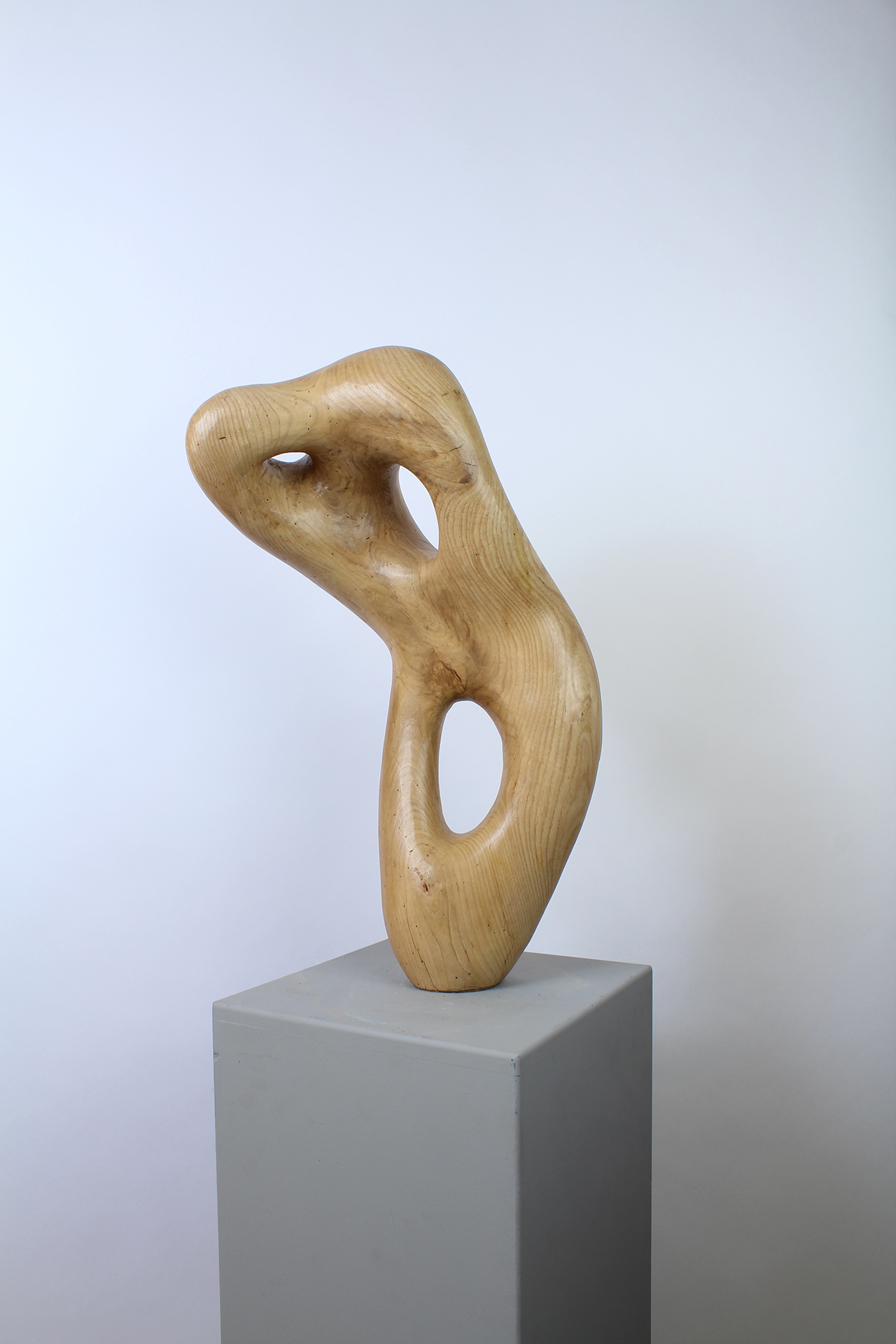 FEMME IDÉALE - Image suivante