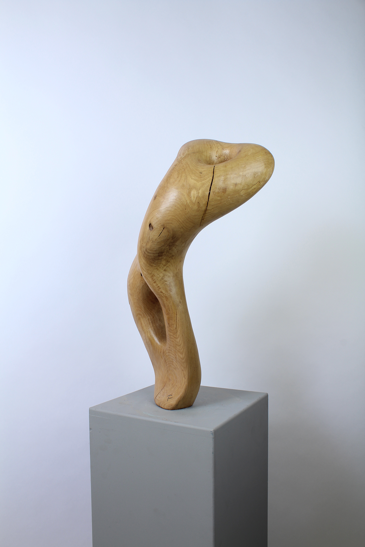 FEMME IDÉALE - Image précedente