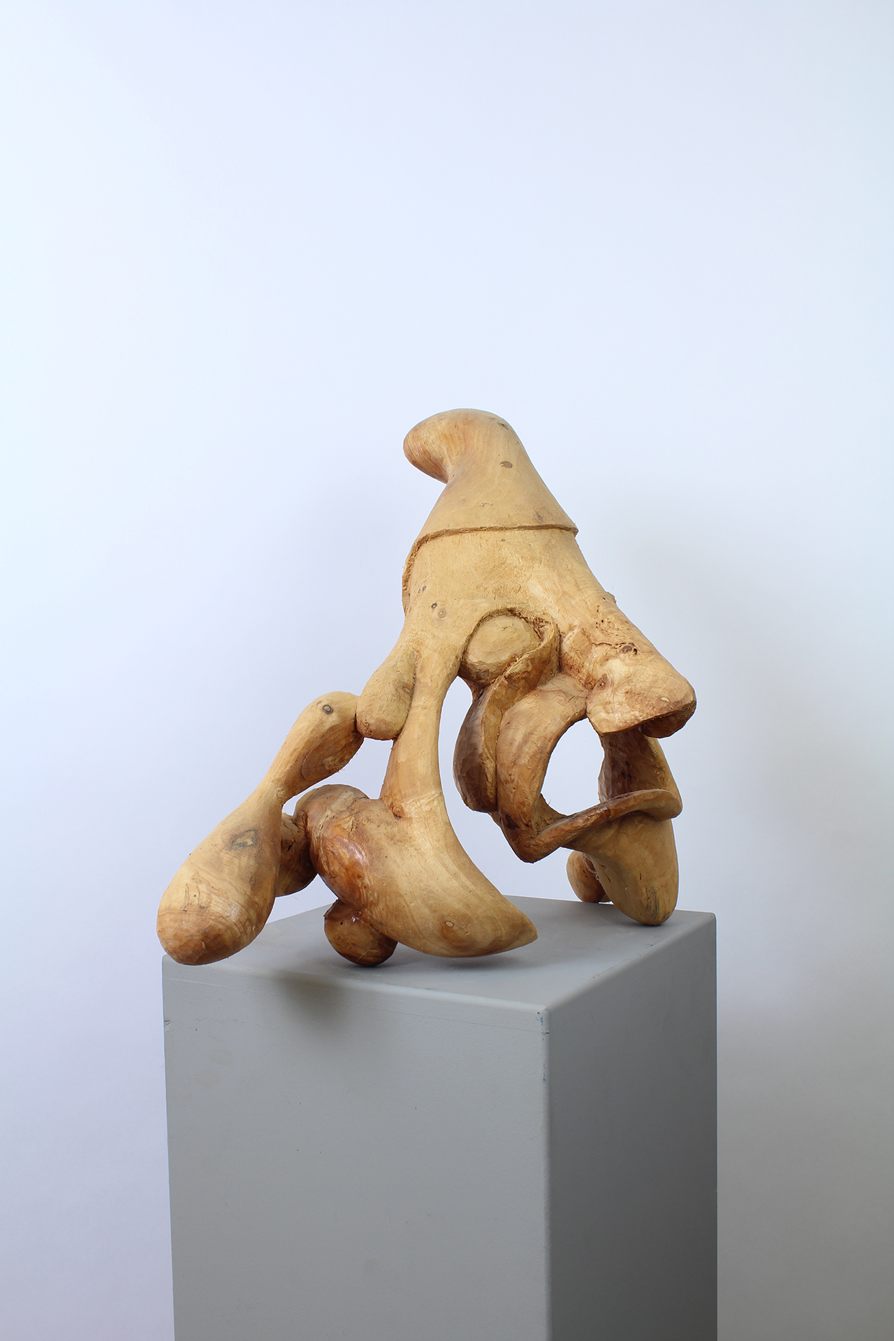 HoGM - Image suivante