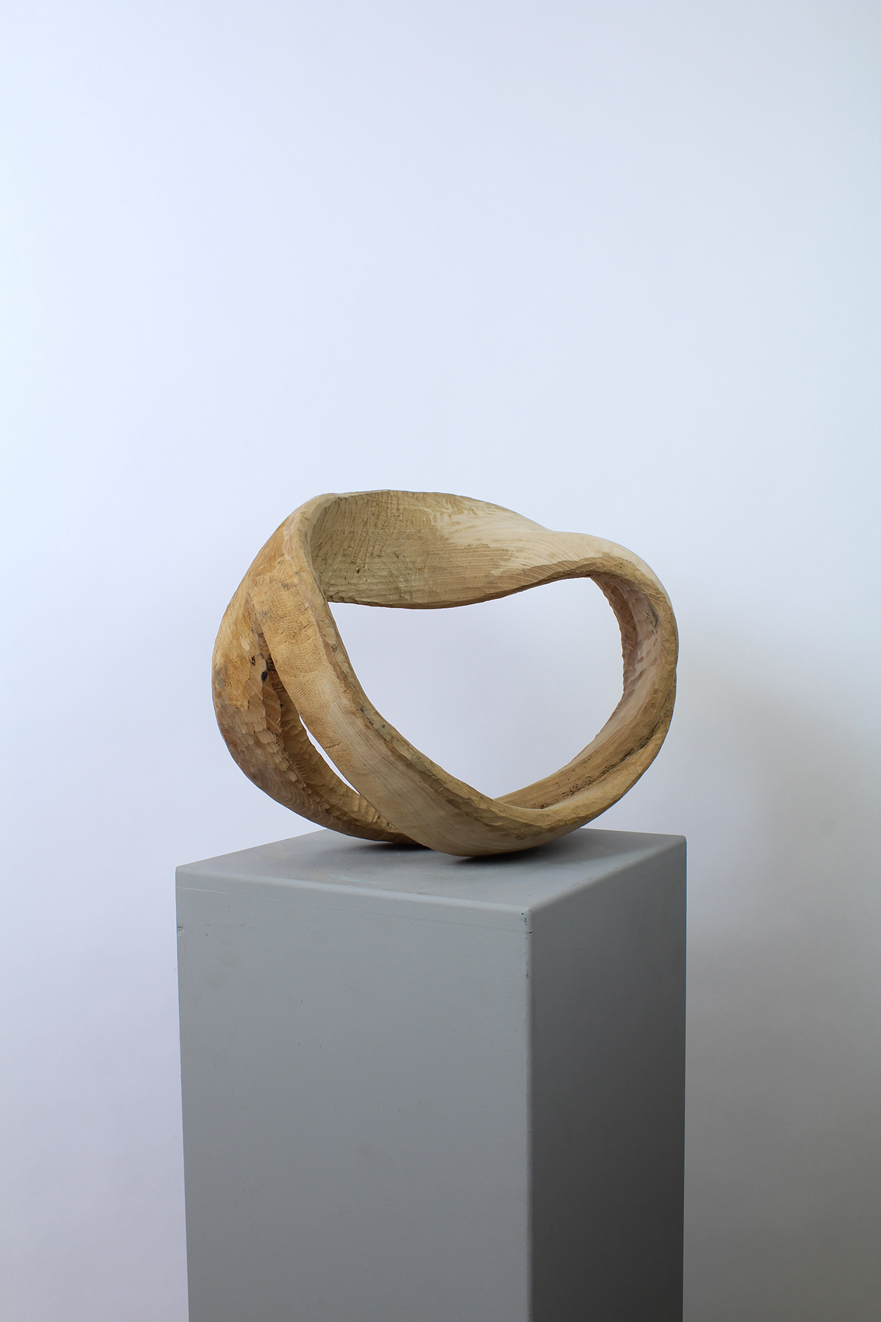 FOR CORENTIN - Image précedente