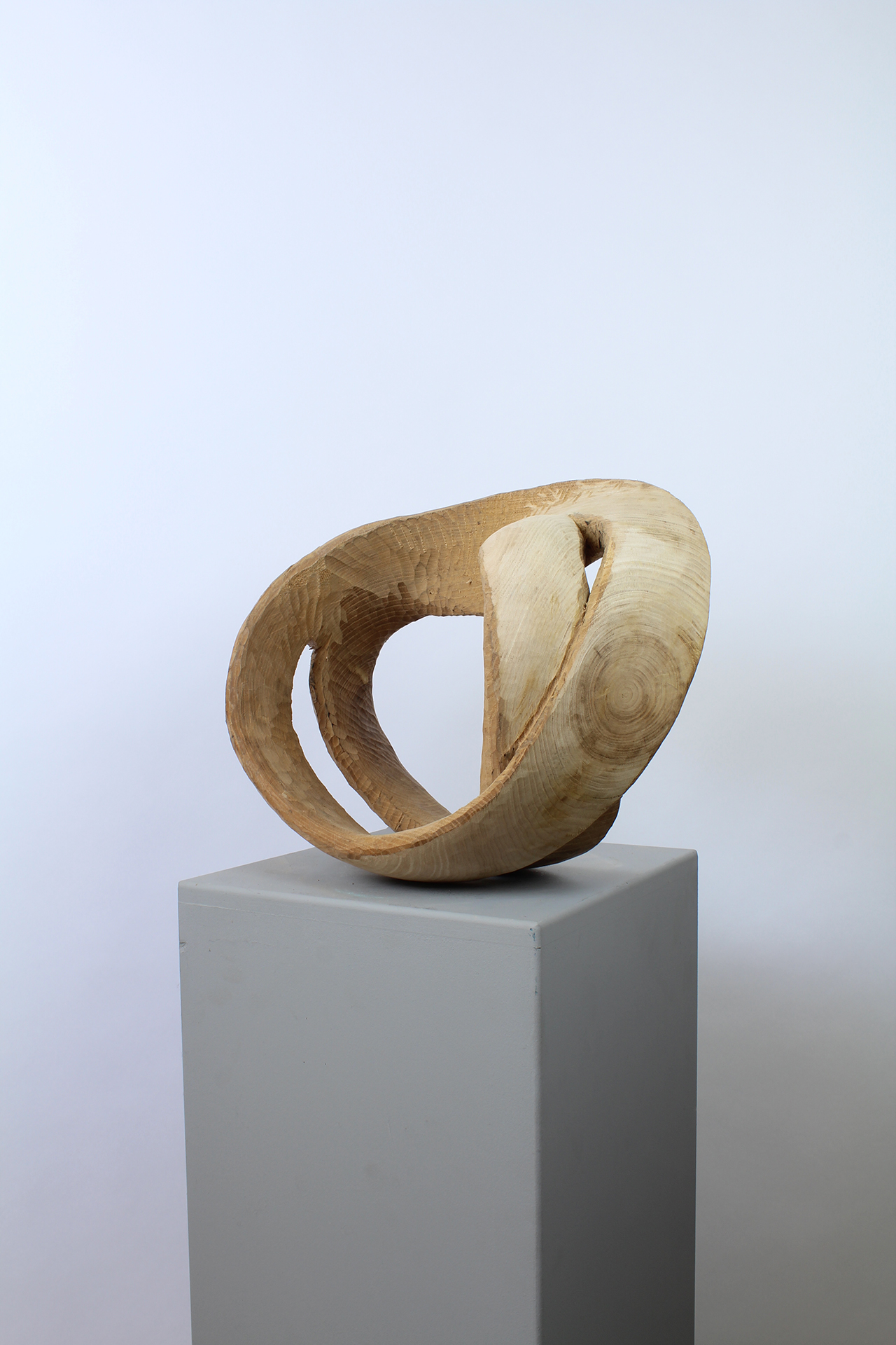 FOR CORENTIN - Image suivante