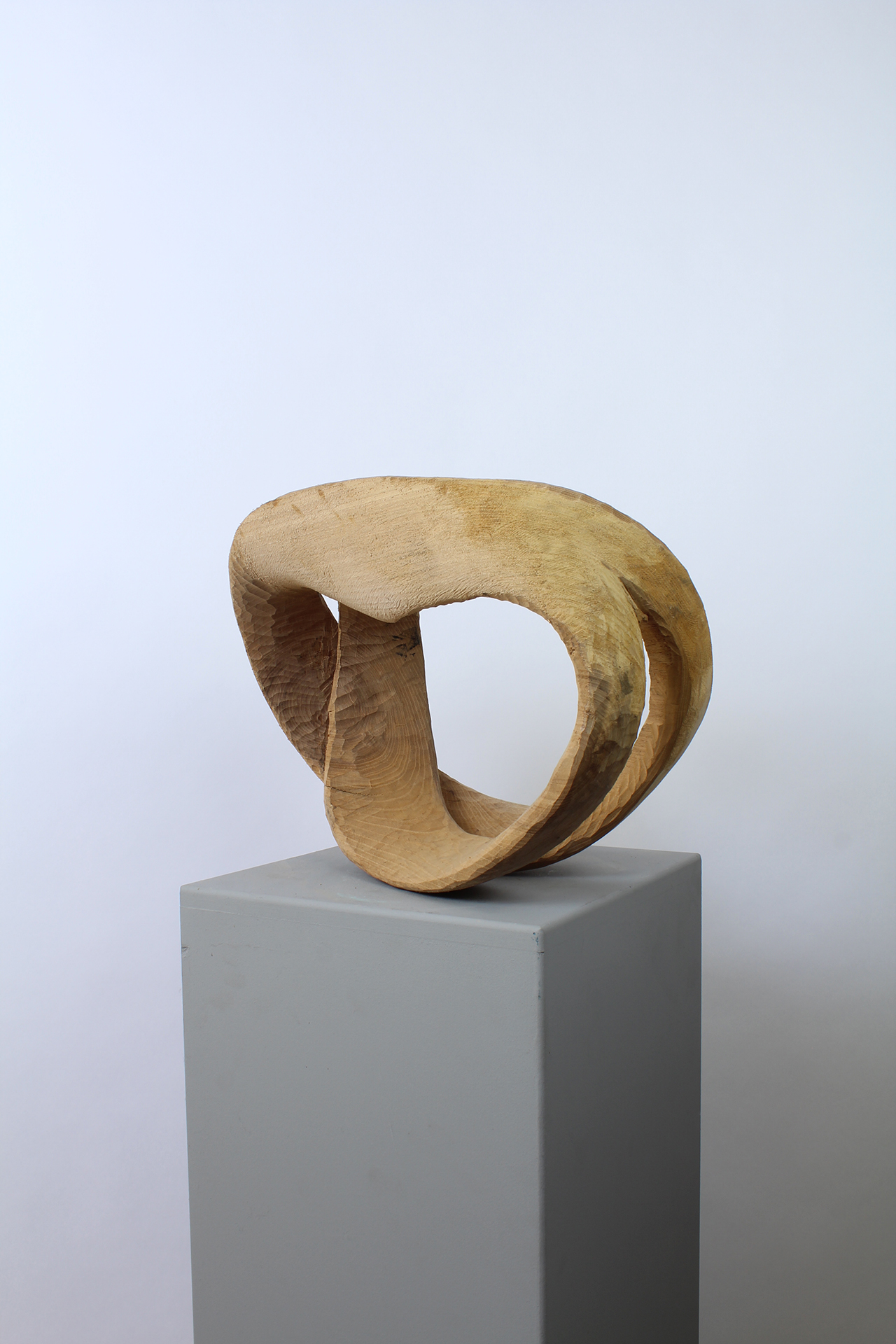 FOR CORENTIN - Image précedente