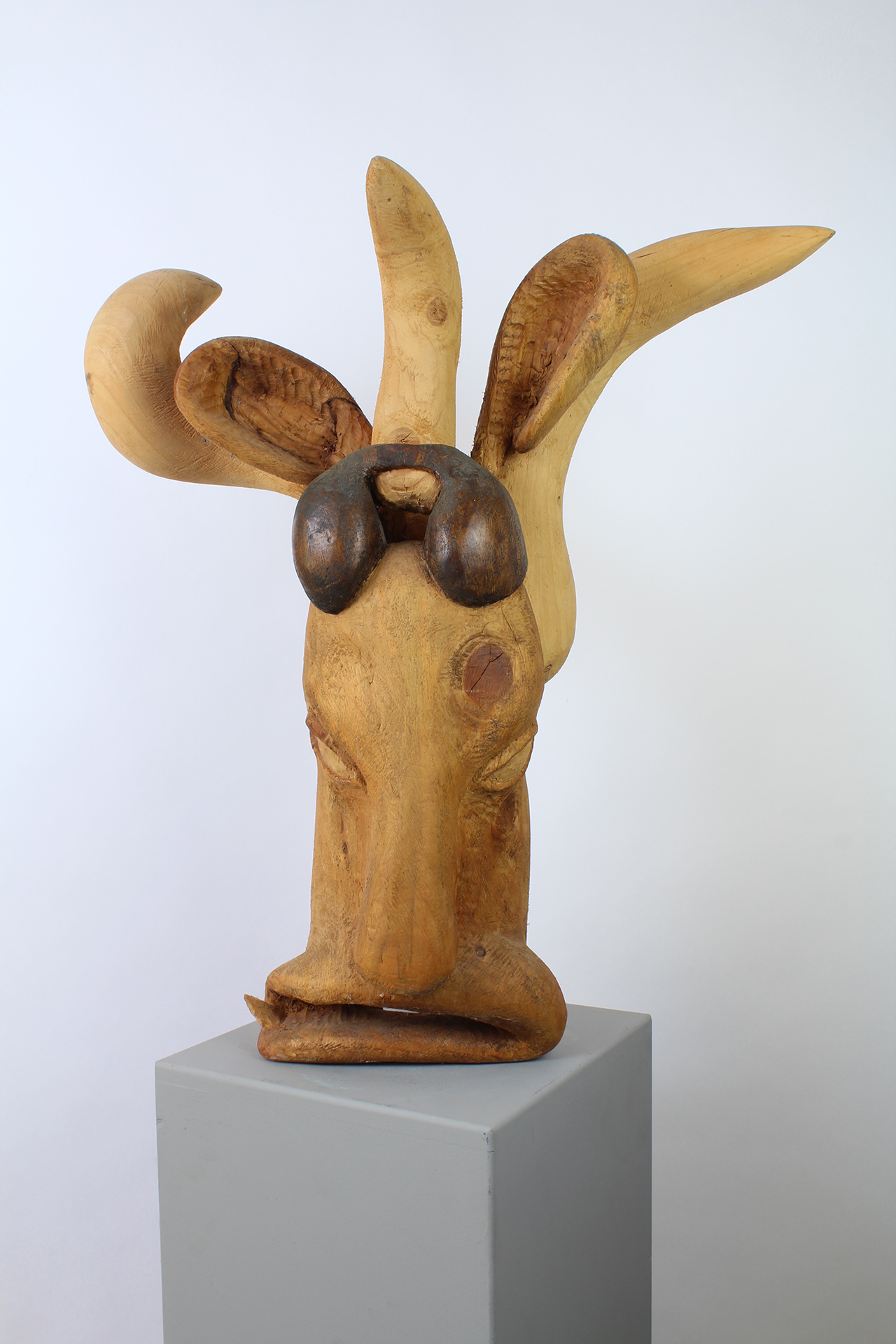 VACHE FOLLE - Image précedente