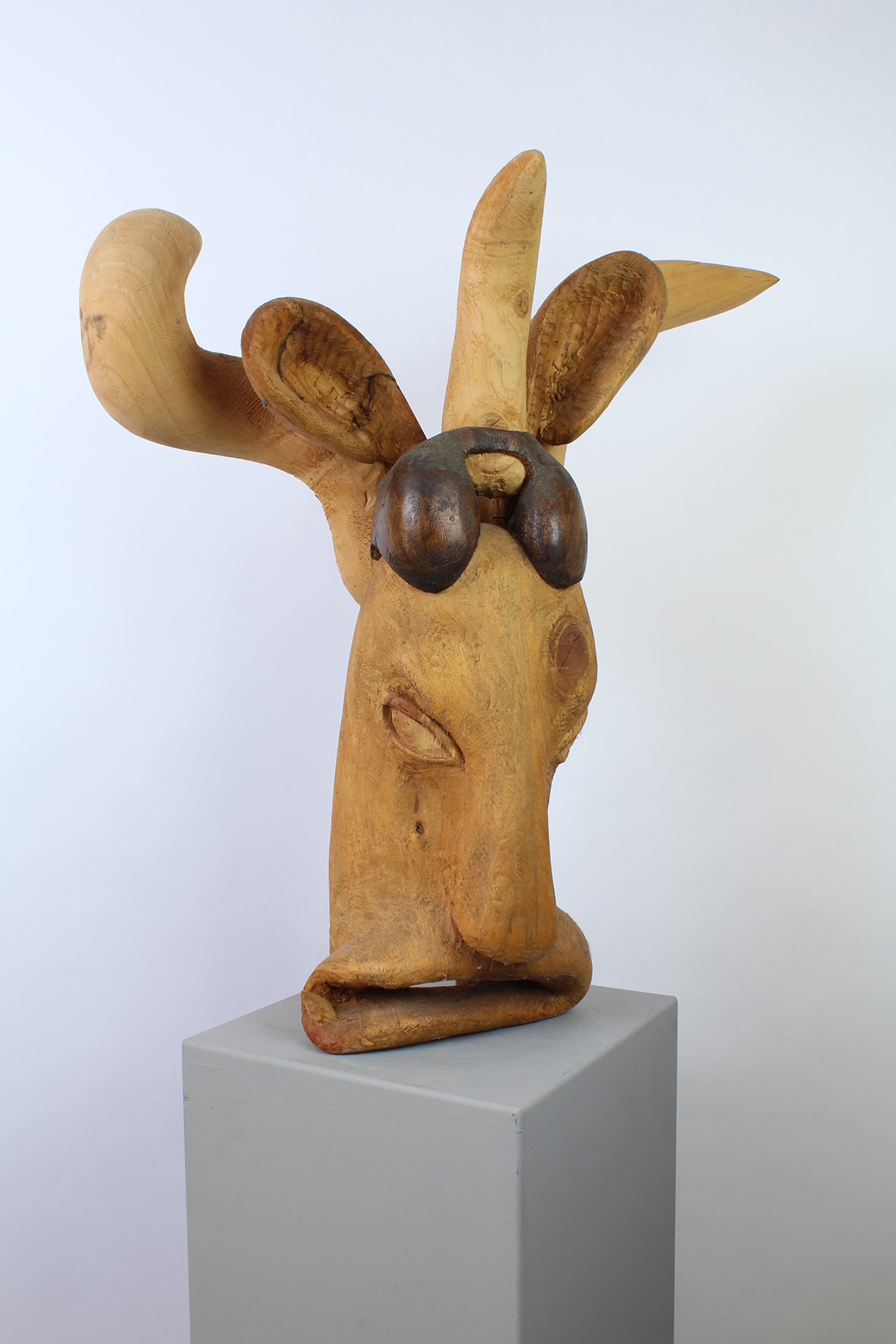 VACHE FOLLE - Image suivante