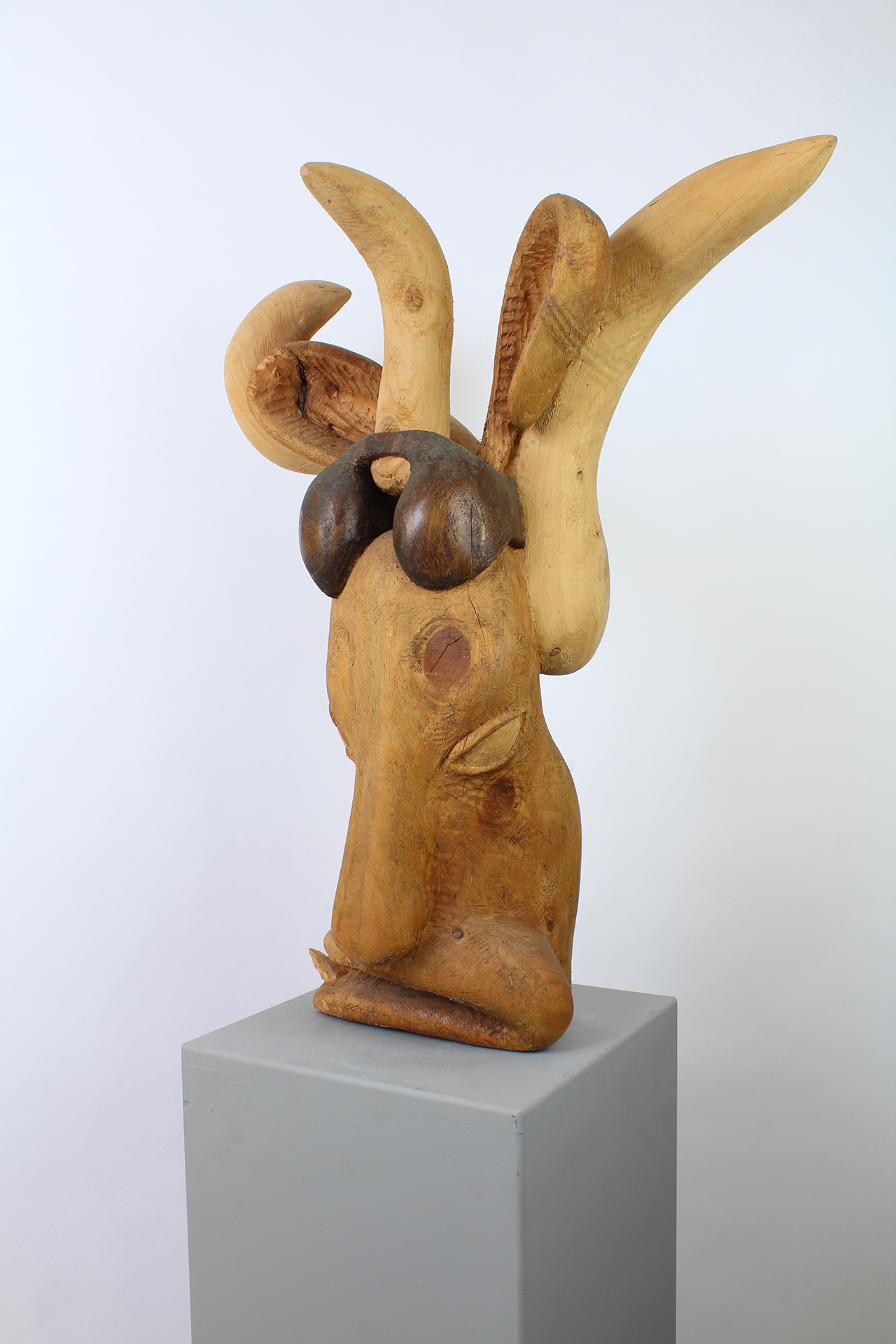 VACHE FOLLE - Image précedente