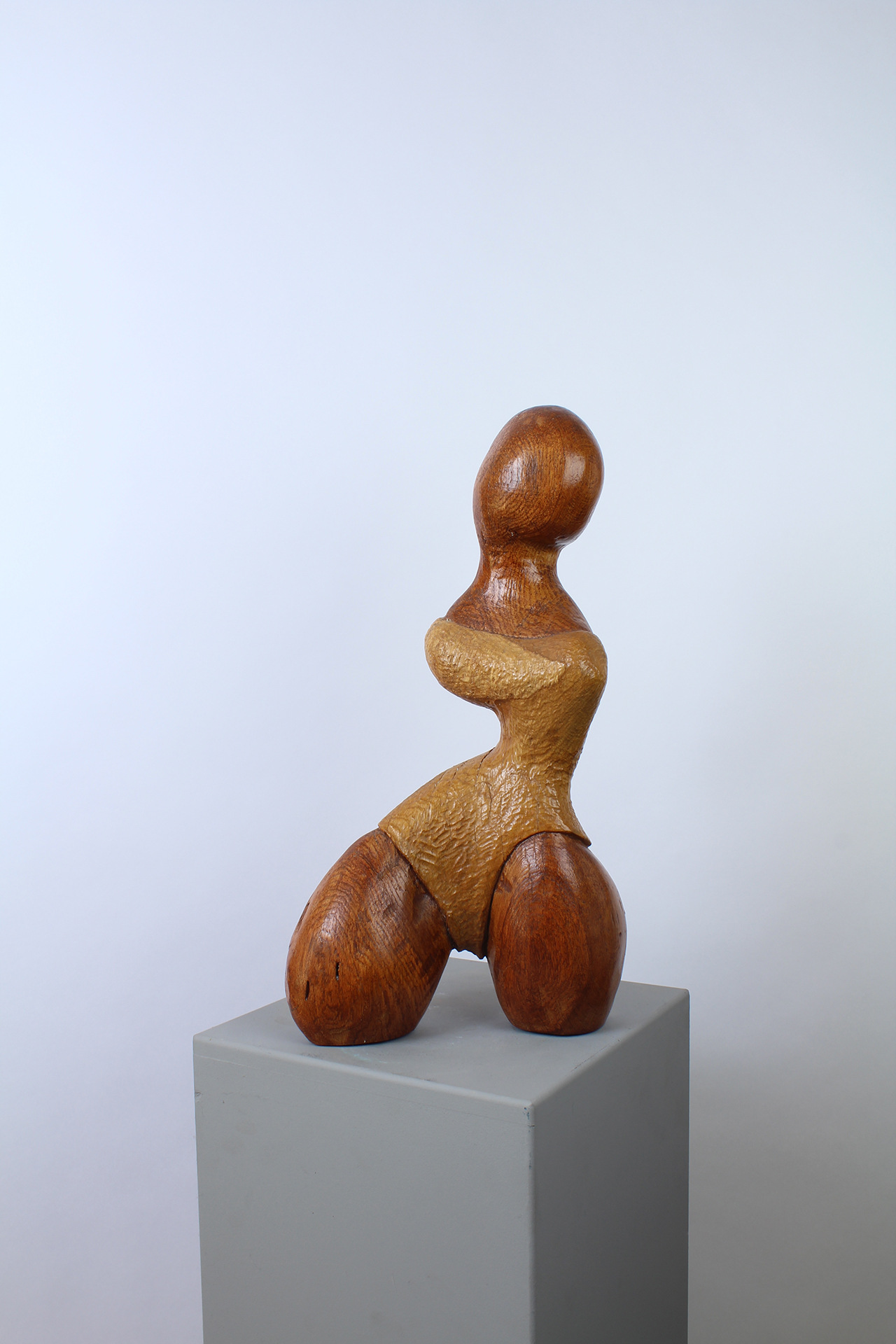 SAMBA - Image précedente