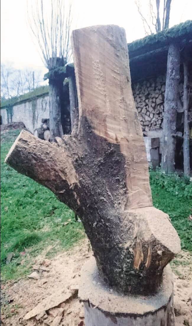 JAZZAMICHEL - Image précedente