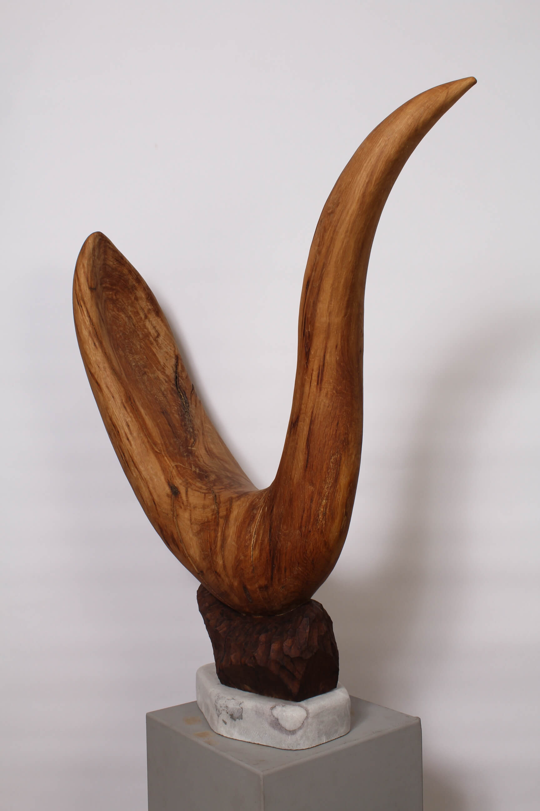 CHÊNE COUVANT - Image précedente