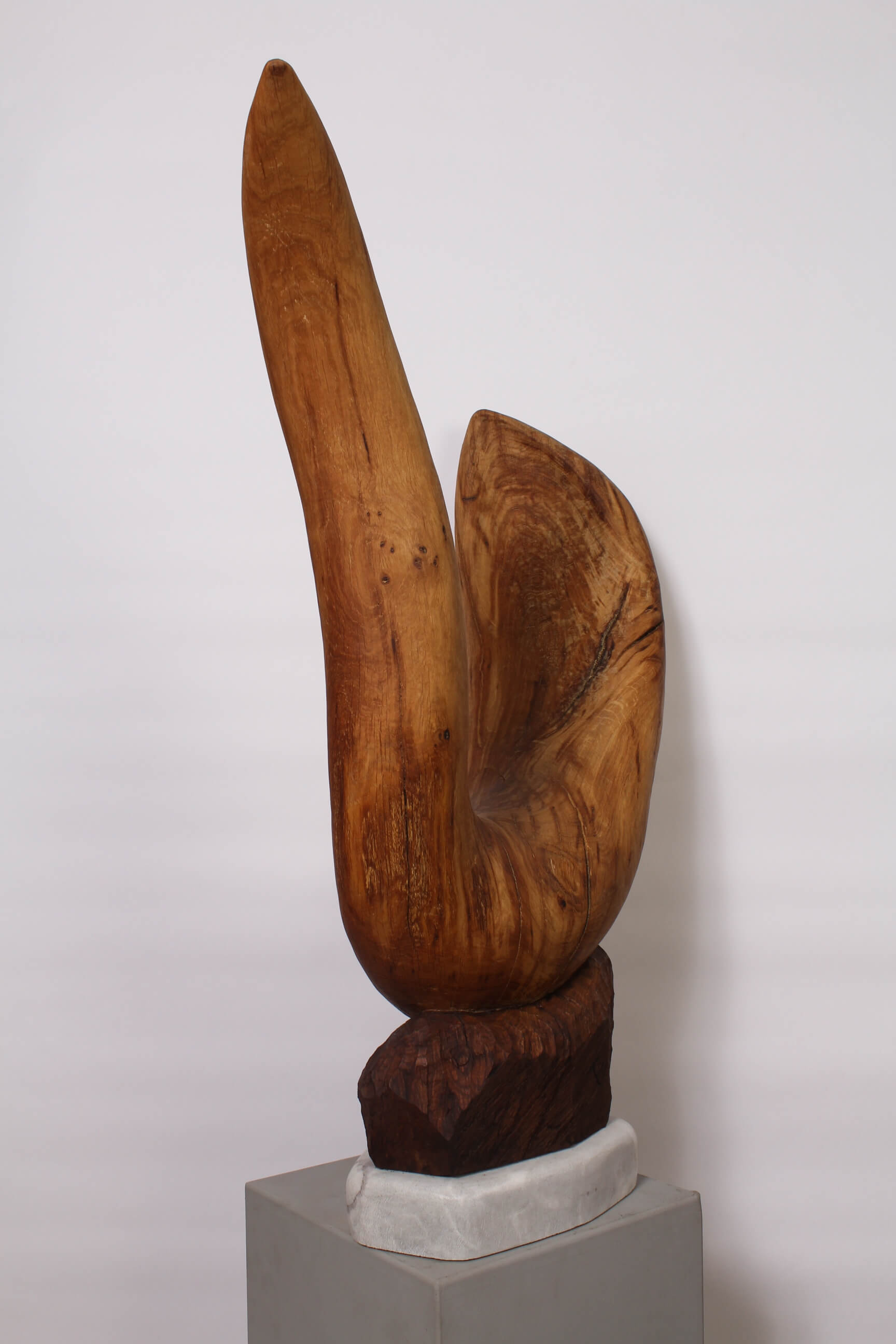 CHÊNE COUVANT - Image précedente