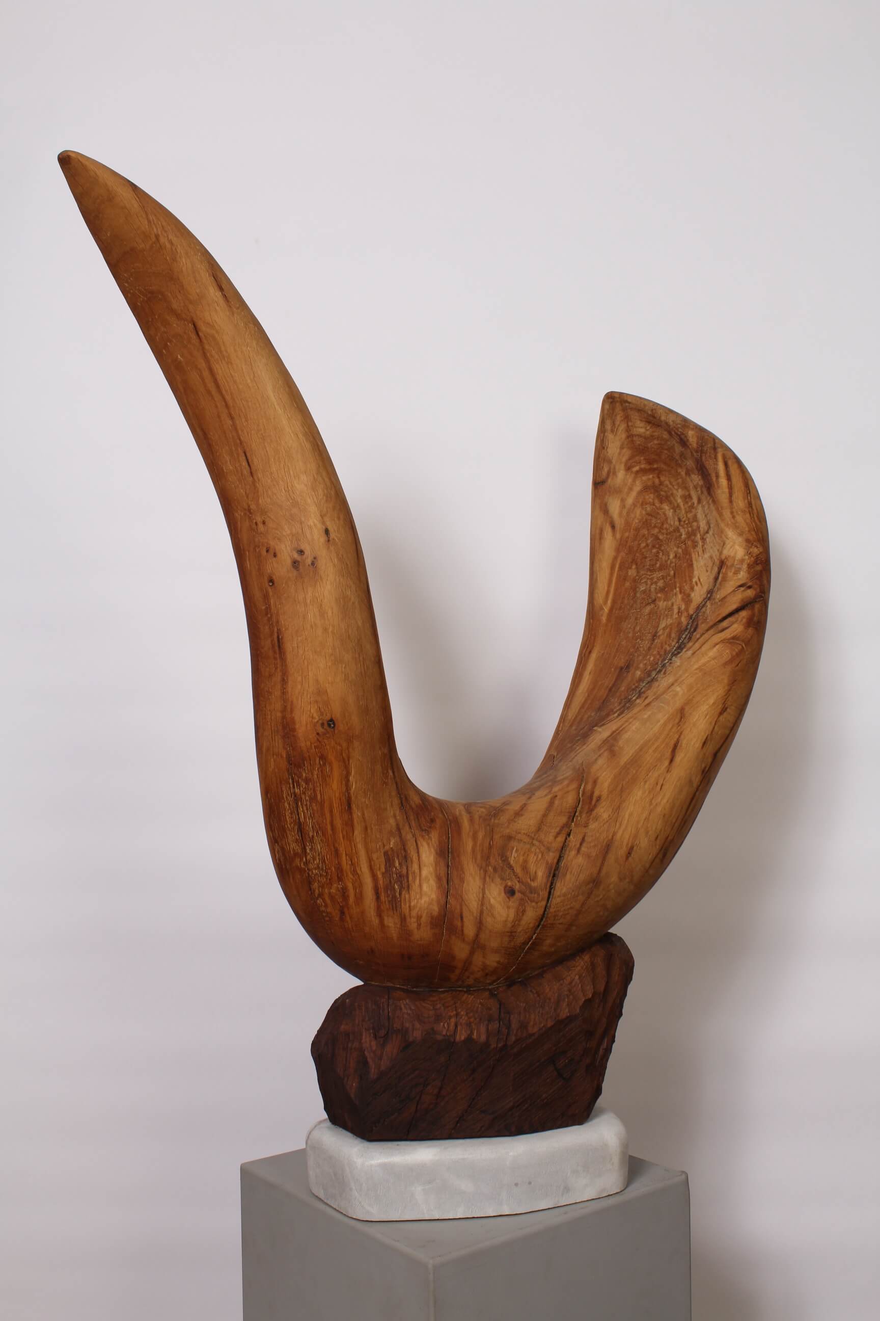 CHÊNE COUVANT - Image suivante