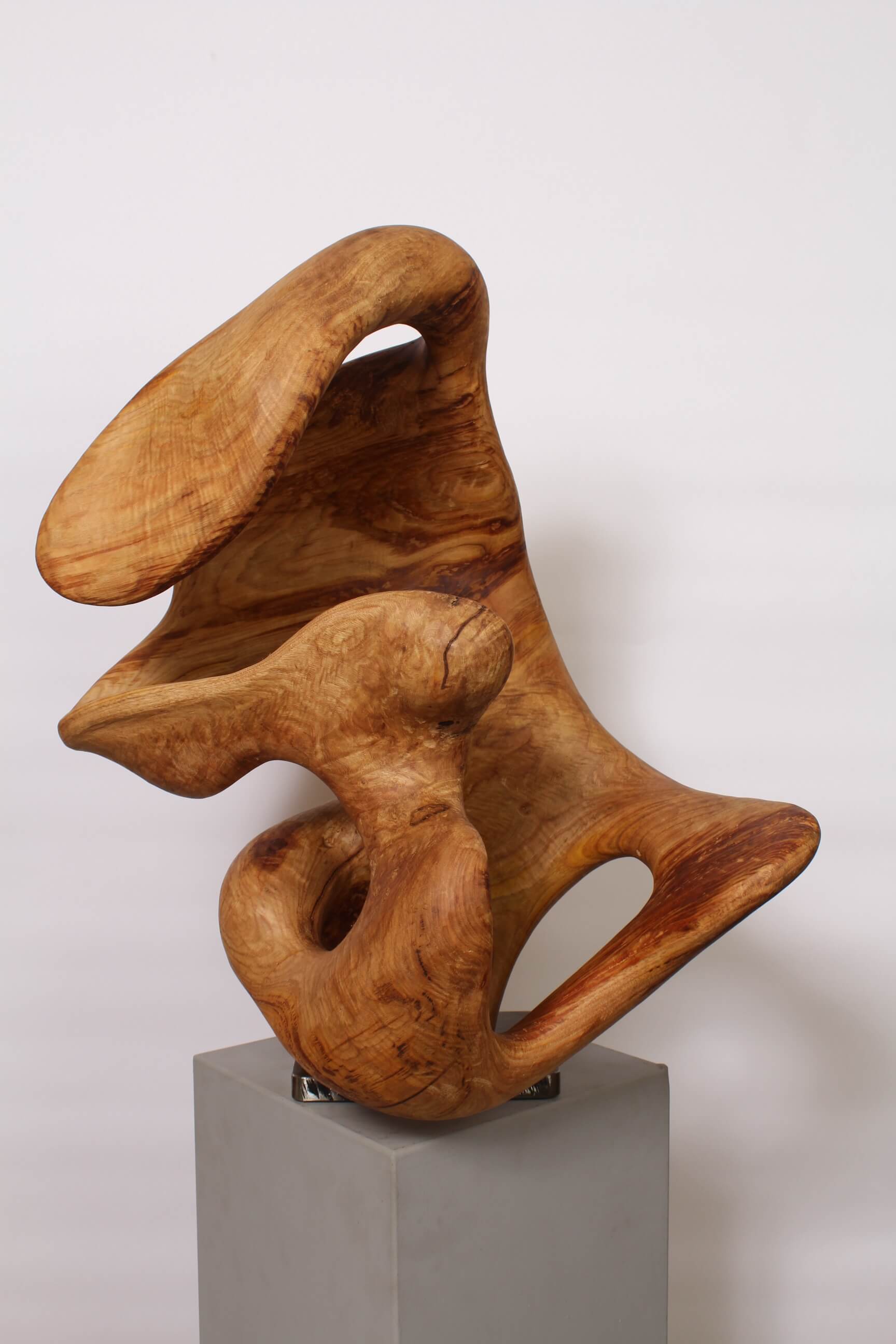 DANS LA DANSE DE L’EAU - Image précedente