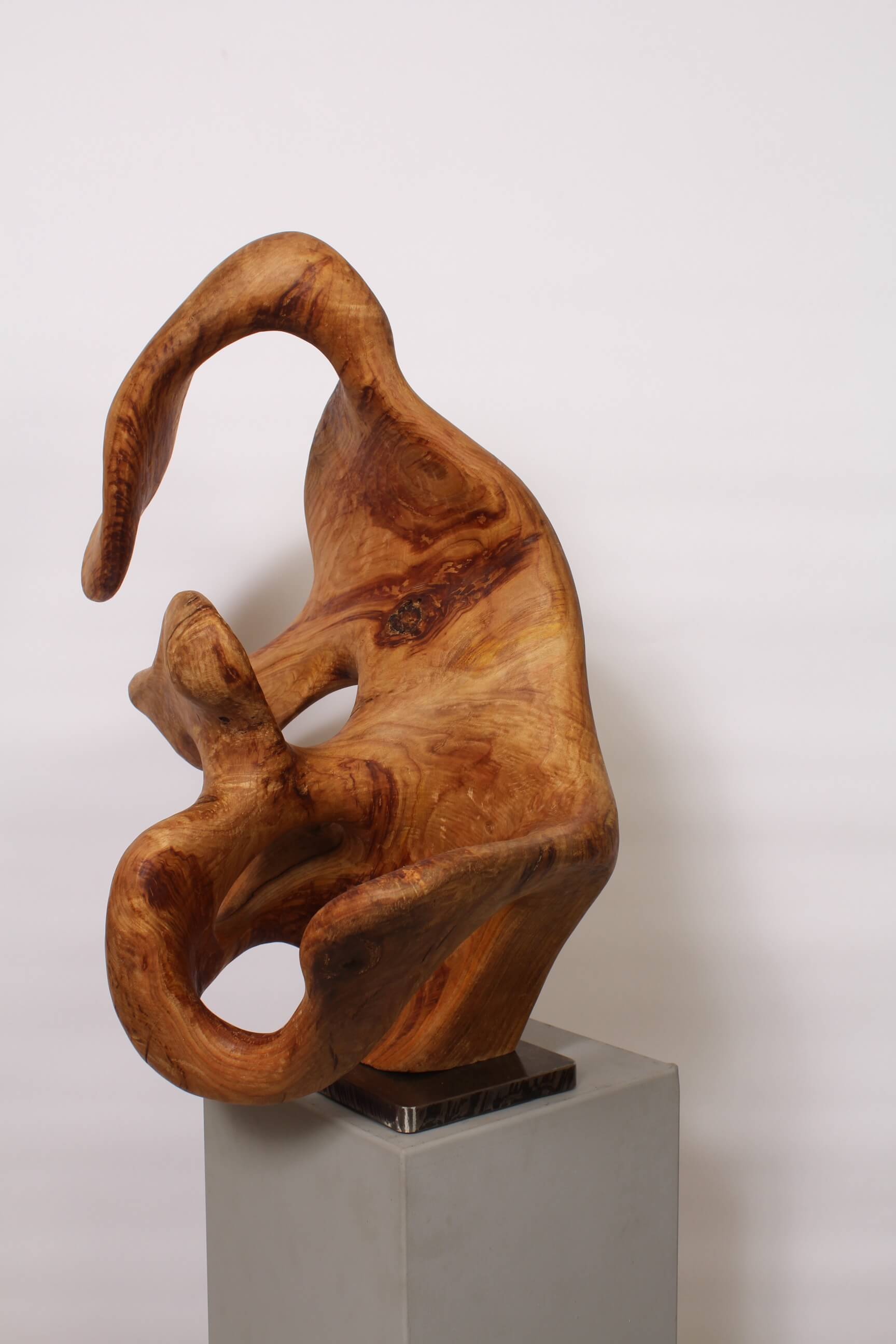 DANS LA DANSE DE L’EAU - Image suivante