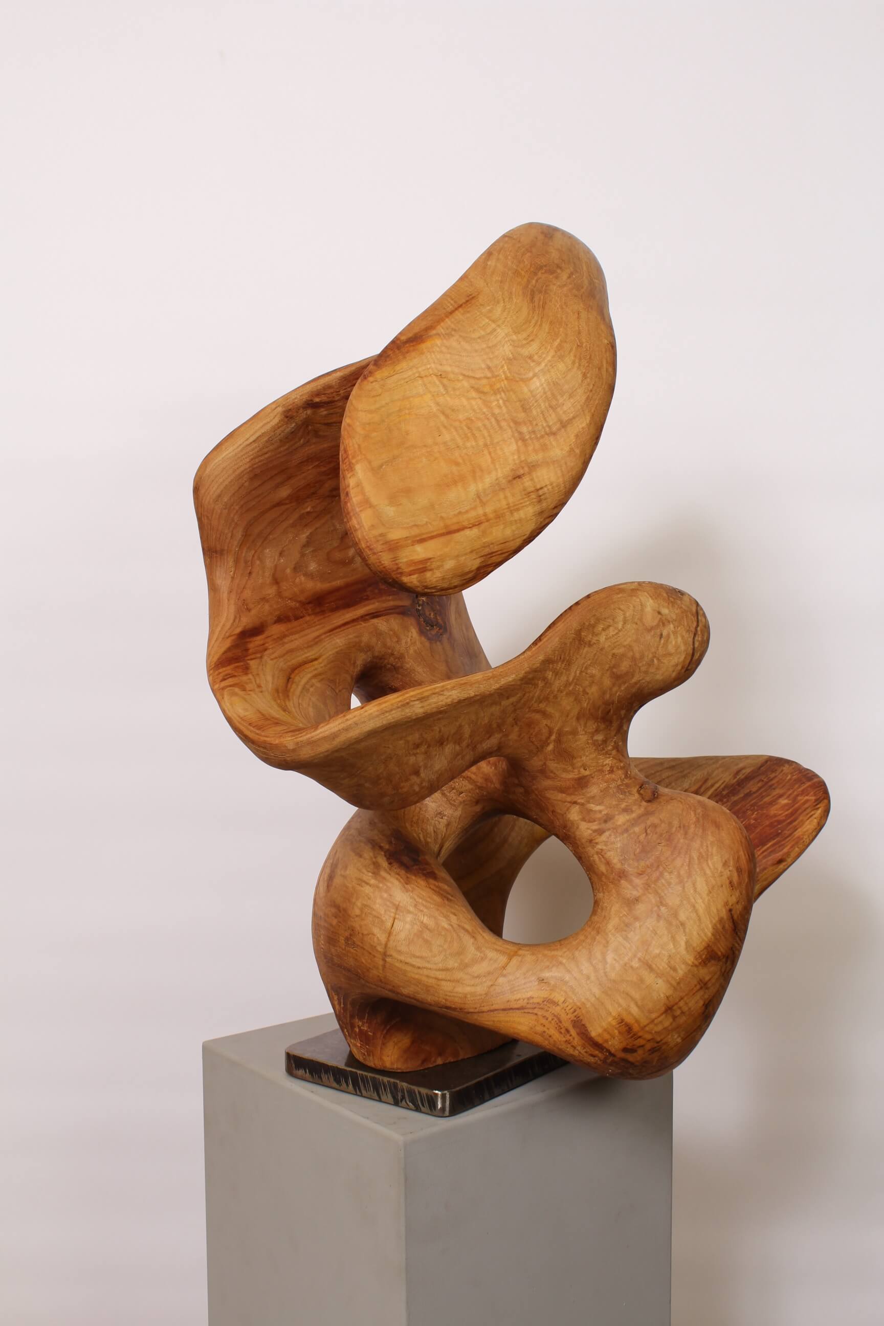 DANS LA DANSE DE L’EAU - Image précedente