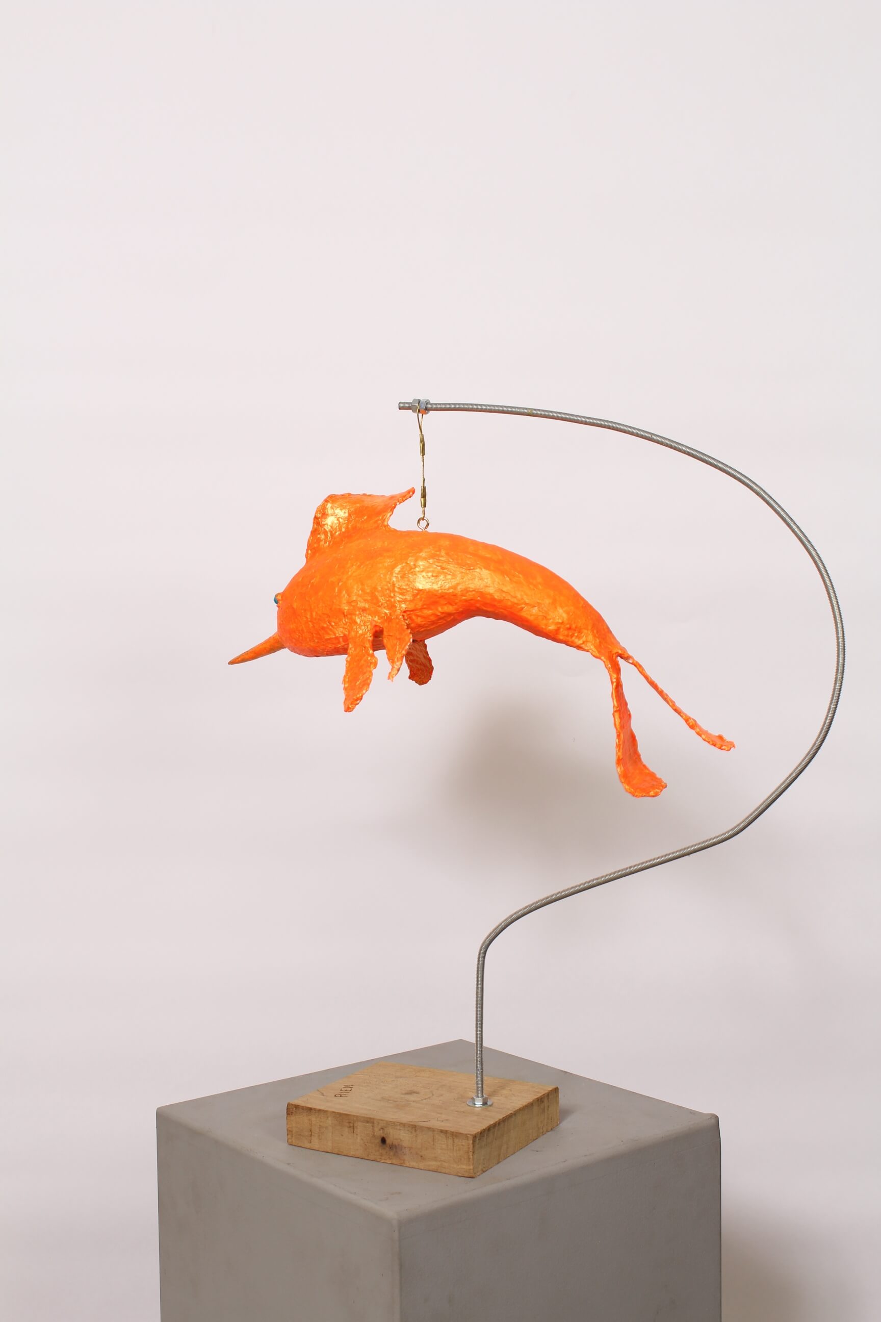 MOSQUITO FISH - Image suivante